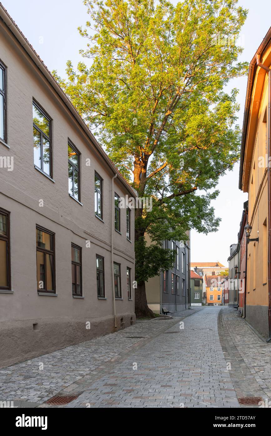 Una foto verticale che cattura una stretta strada acciottolata fiancheggiata da case storiche durante una serata estiva a Trondheim, Norvegia Foto Stock