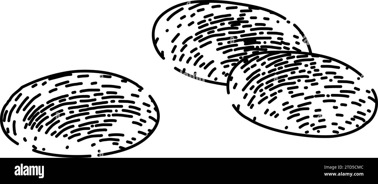 disegno di primrose da sera di piante vettoriali disegnate a mano Illustrazione Vettoriale