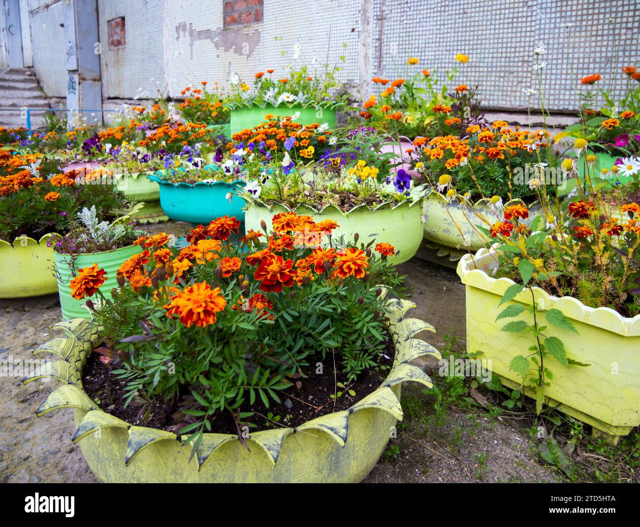 Giardino fiorito all'ingresso da vecchie gomme per auto Foto Stock