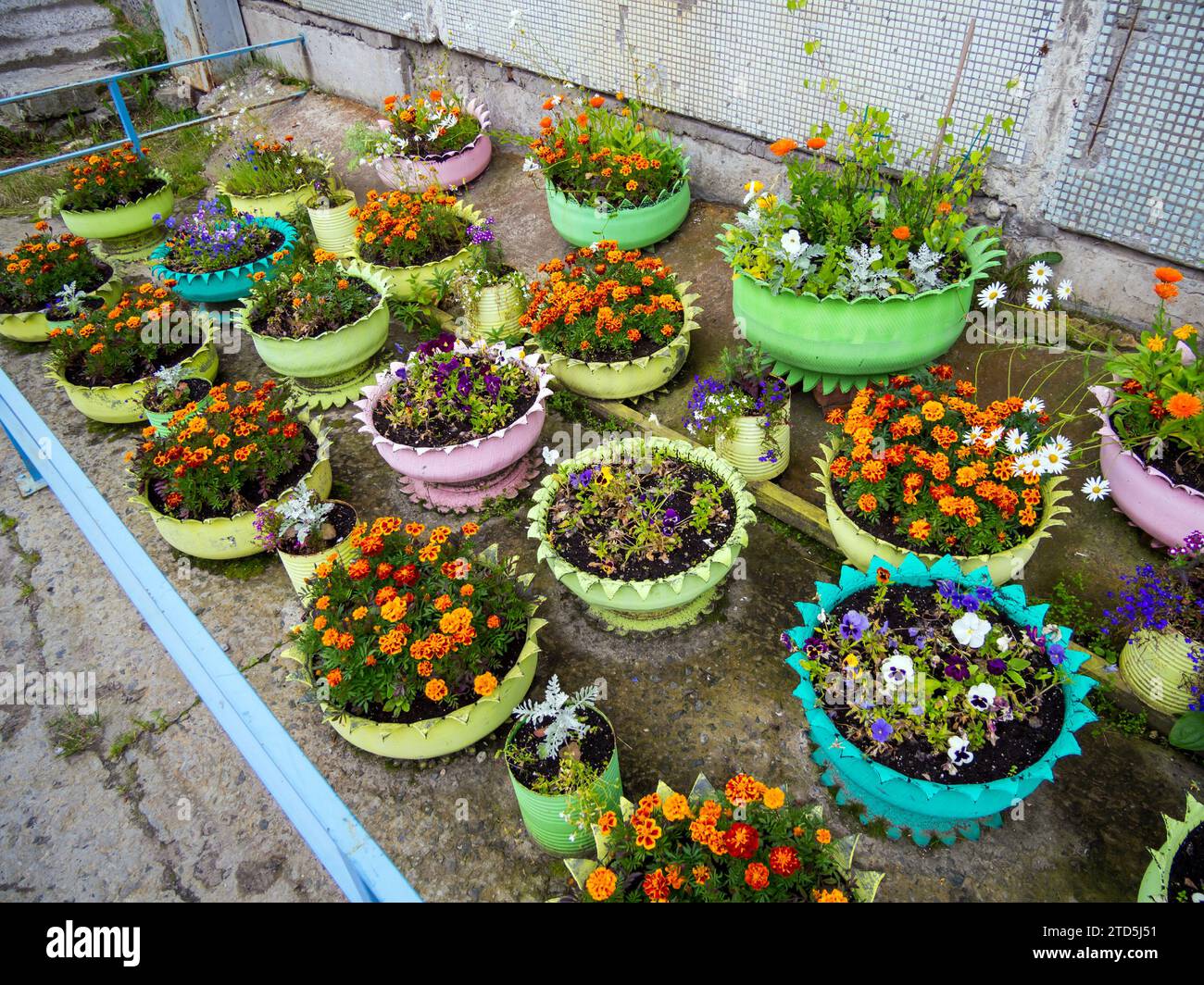Vasi da fiori di vecchi pneumatici Foto Stock
