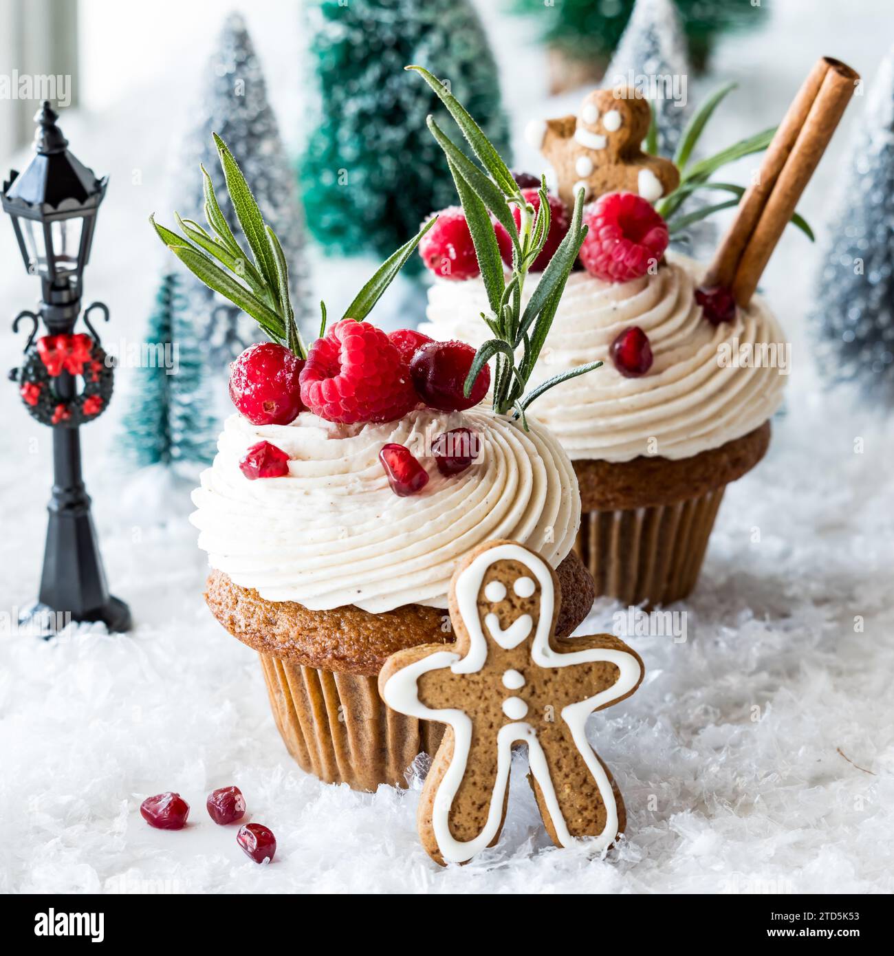 Primo piano dei cupcake al pan di zenzero con condimenti natalizi e biscotti al pan di zenzero. Foto Stock