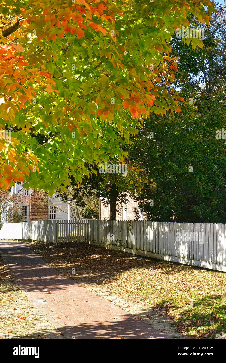Colori autunnali sugli alberi di Francis Street, Colonial Williamsburg, Virginia Foto Stock