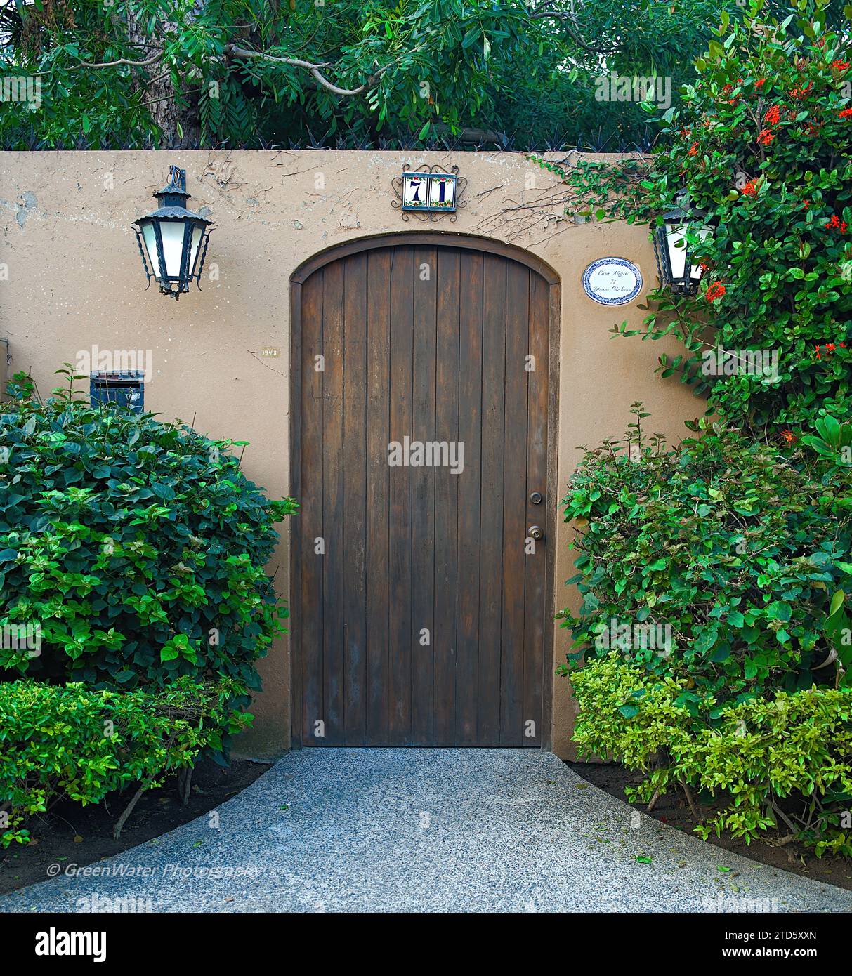 Porta Hacienda in legno Foto Stock