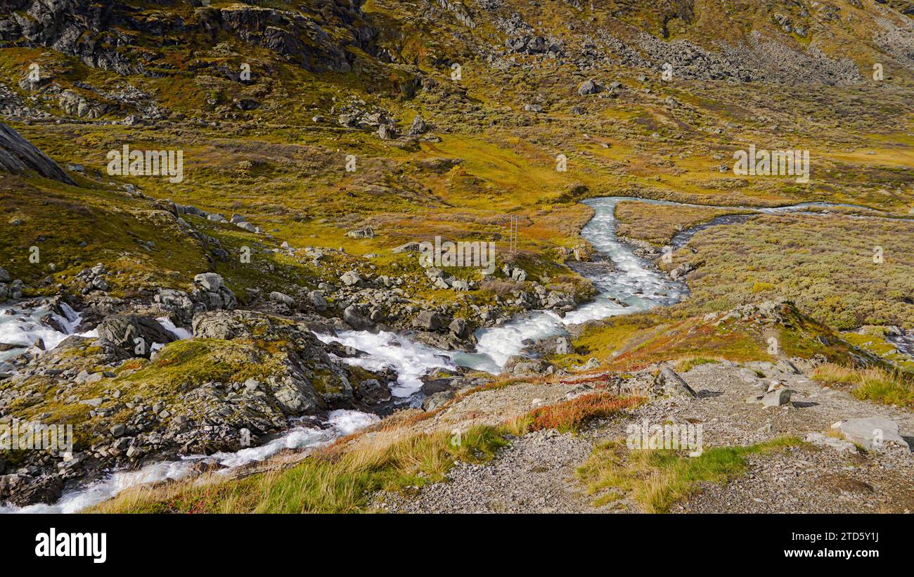 Montagne e valli lungo il percorso turistico nazionale in Norvegia. Foto Stock