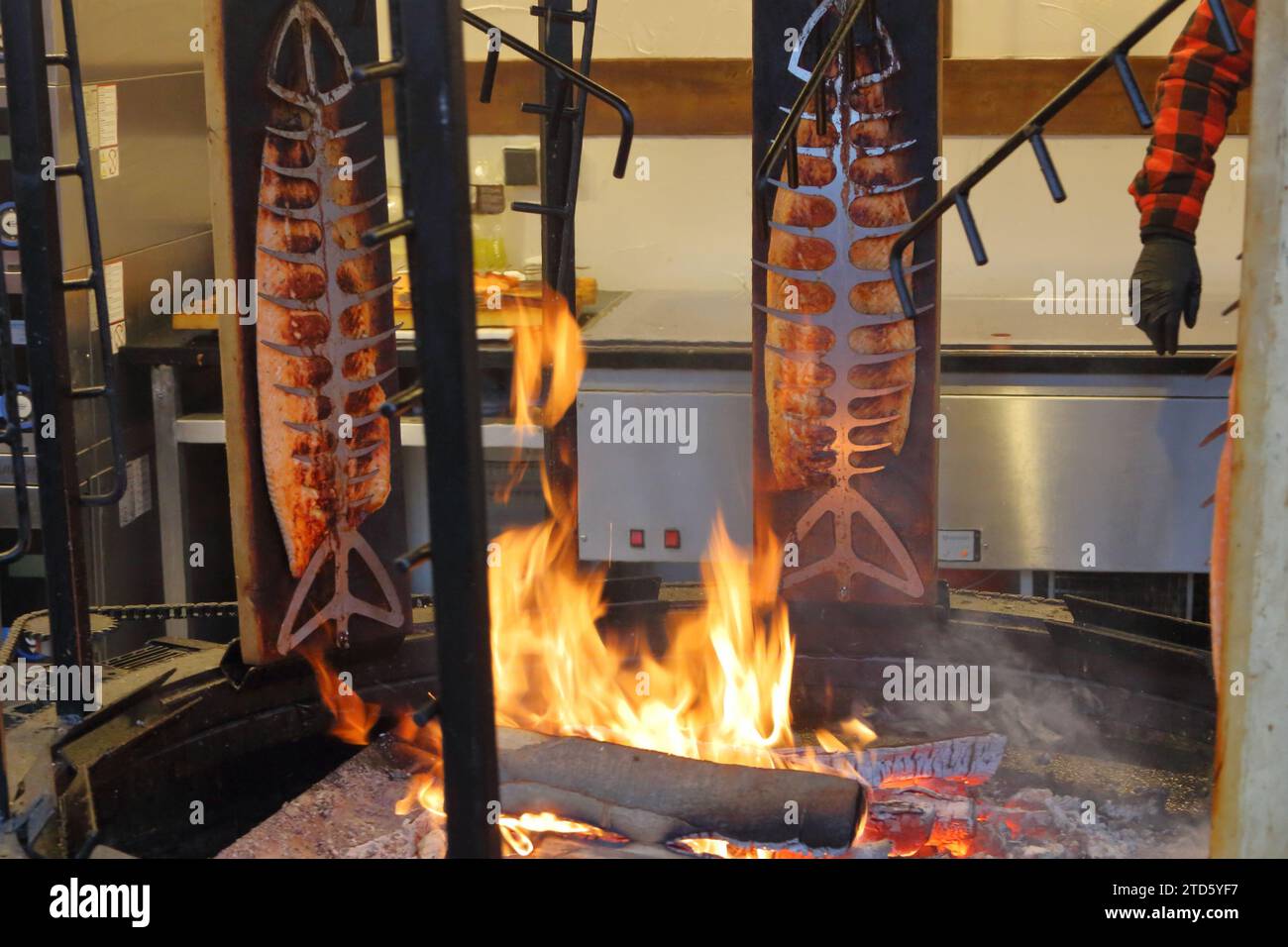 I filetti di salmone vengono cotti ruotando intorno a un fuoco aperto Foto Stock