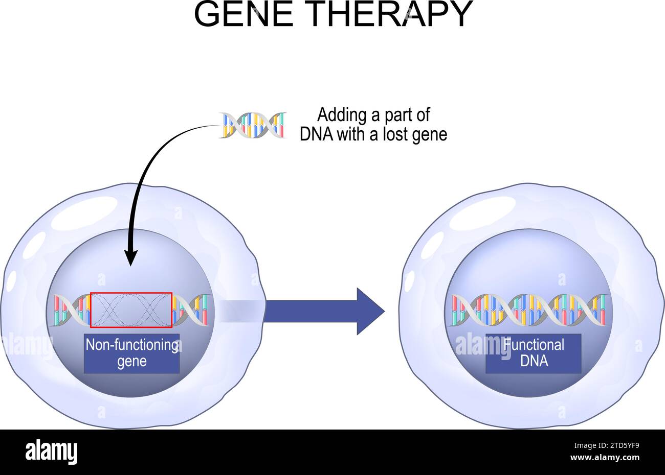 Terapia genica. Tecnologia medica manipolazione dell'espressione genica per alterare le proprietà biologiche delle cellule viventi. Ingegneria genetica. Genoma e Illustrazione Vettoriale