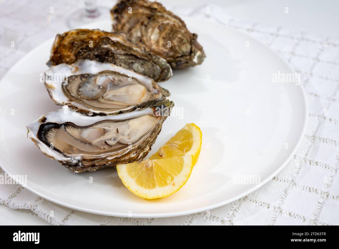 Molluschi di ostriche francesi, olandesi, del pacifico o giapponesi, taglia 1, serviti con limone fresco e pesce crudo Foto Stock