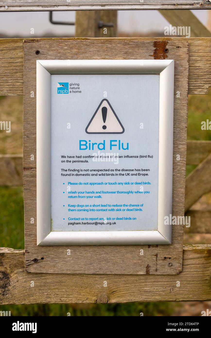 Cartello di avvertenza influenza aviaria Foto Stock