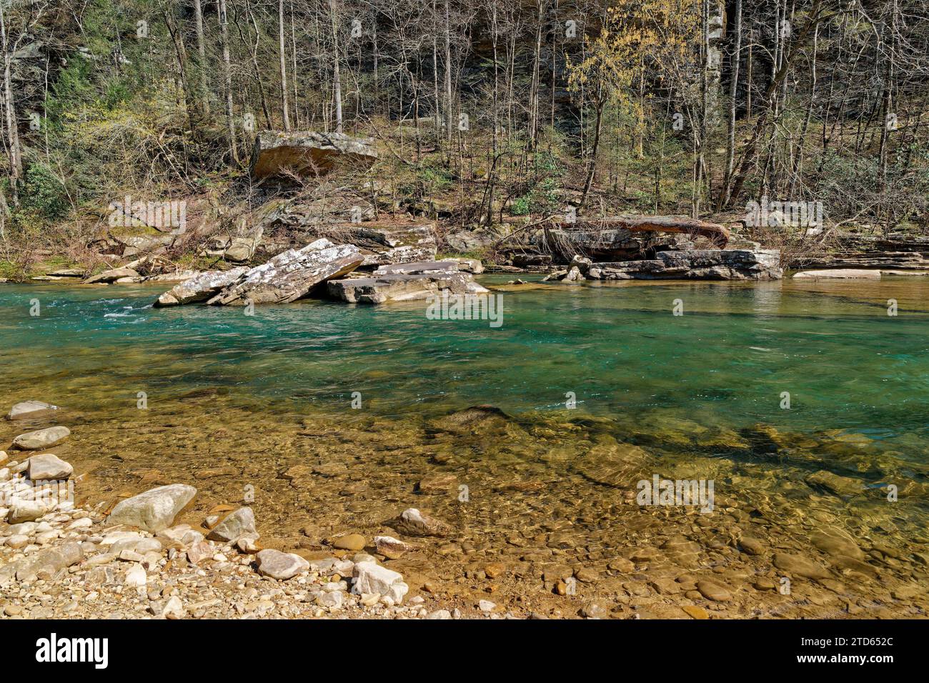 Acqua trasparente di colore turchese che scorre lungo il fiume Piney lungo i massi e gli alberi caduti e le rocce con la foresta sullo sfondo su un rione Foto Stock