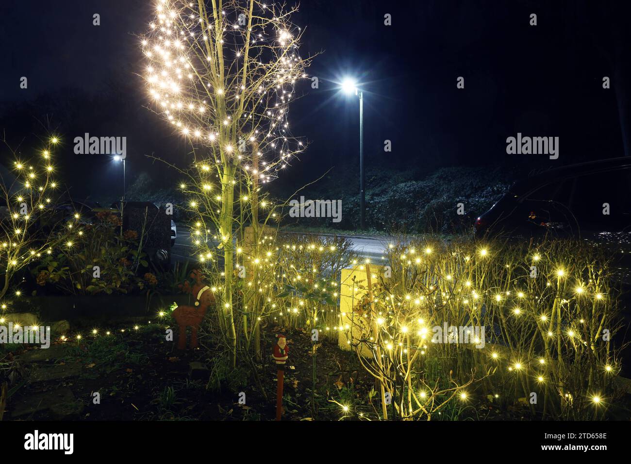 Lichter zur Weihnachtszeit in einem Vorgarten eines alten Hauses befinden sich Lichterketten mit LED-Leuchtmitteln zur Dekoration in der Adventszeit und zu Weihnachten Essen Nordrhein-Westfalen Deutschland *** luci natalizie nel giardino frontale di una vecchia casa ci sono le luci delle fate con lampadine a LED per decorazione durante l'Avvento e il Natale Essen Renania settentrionale-Vestfalia Germania Foto Stock