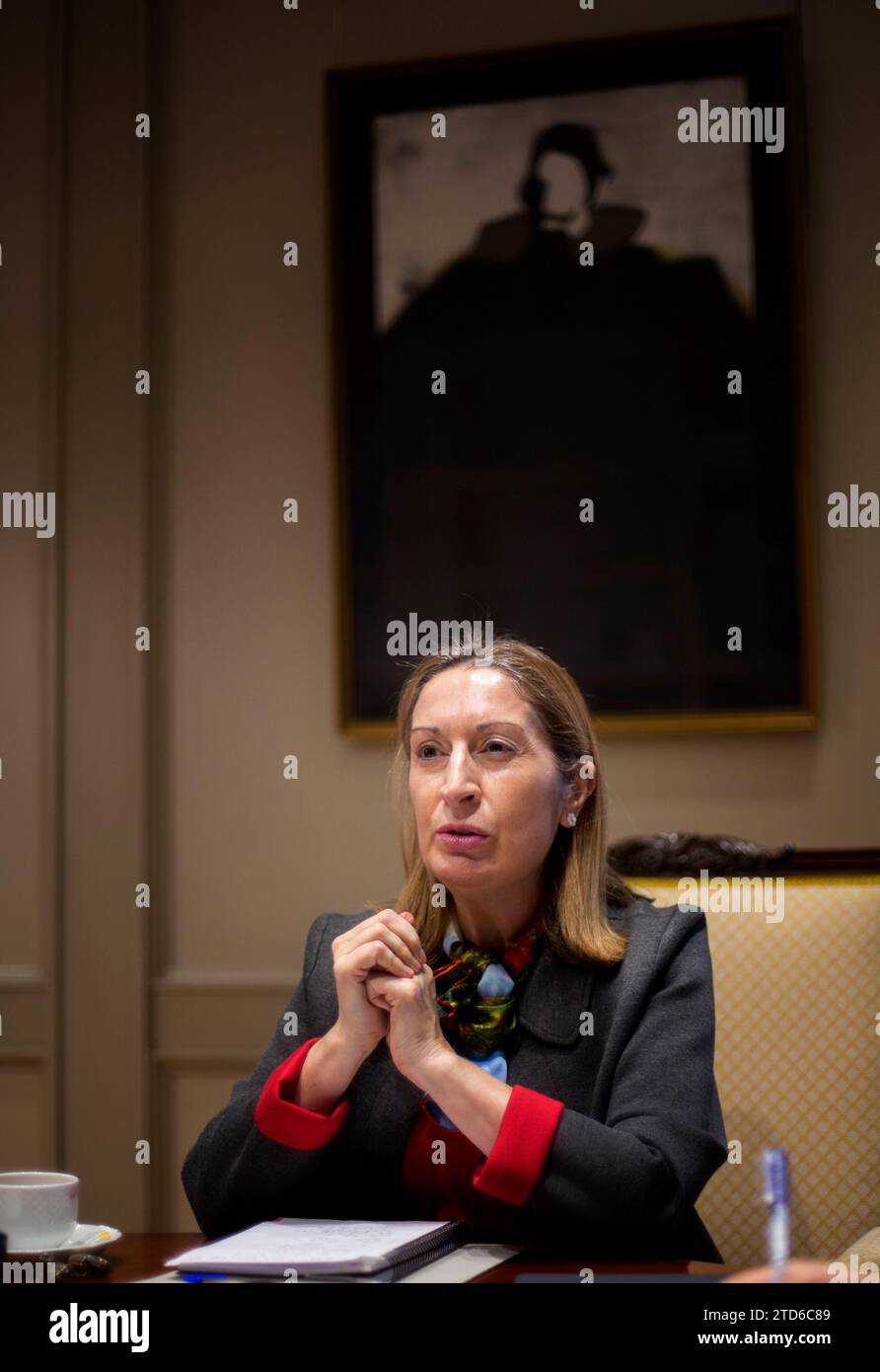 Madrid, 30 gennaio 2015. Intervista con Ana Pastor, Ministro dei lavori pubblici. ArchDC. Foto: Ignacio Gil. Crediti: Album / Archivo ABC / Ignacio Gil Foto Stock