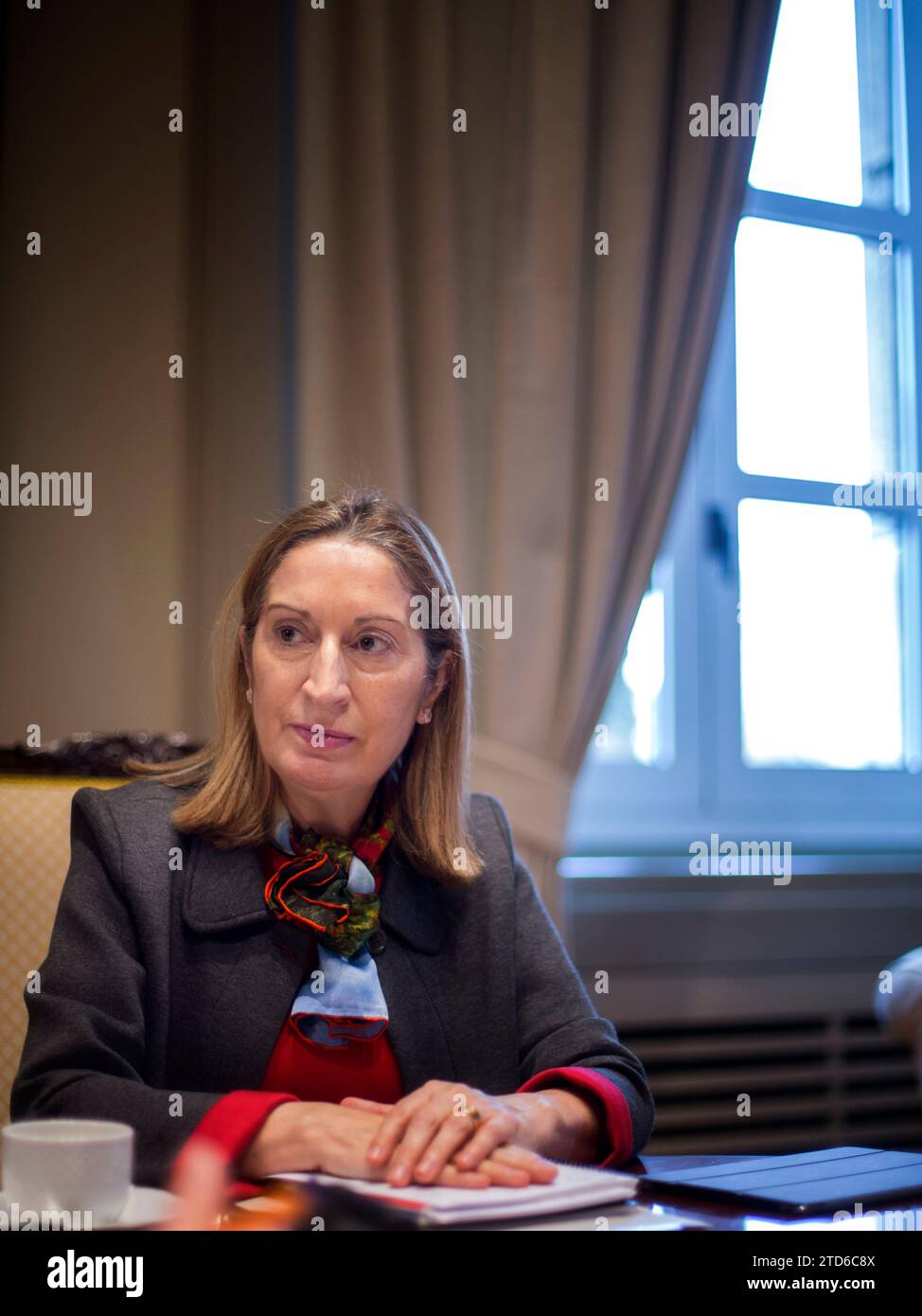 Madrid, 30 gennaio 2015. Intervista con Ana Pastor, Ministro dei lavori pubblici. ArchDC. Foto: Ignacio Gil. Crediti: Album / Archivo ABC / Ignacio Gil Foto Stock