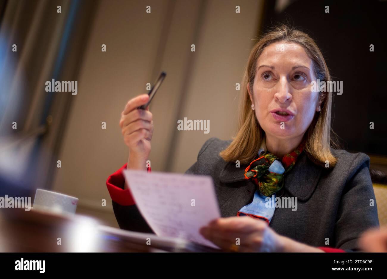 Madrid, 30 gennaio 2015. Intervista con Ana Pastor, Ministro dei lavori pubblici. ArchDC. Foto: Ignacio Gil. Crediti: Album / Archivo ABC / Ignacio Gil Foto Stock