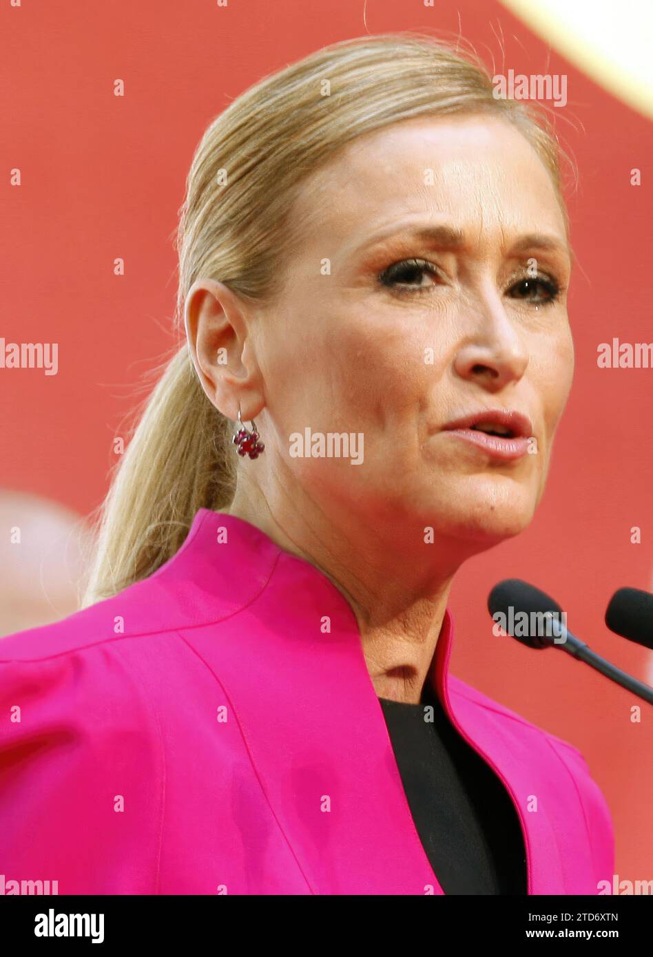 madrid, 5-12-2013.-ricevimento presso la sede della comunità di madrid per il giorno della costituzione, nell'immagine ignacio gonzalez e cristina cifuentes.-foto ernesto acute.archdc. Crediti: Album / Archivo ABC / Ernesto Agudo Foto Stock