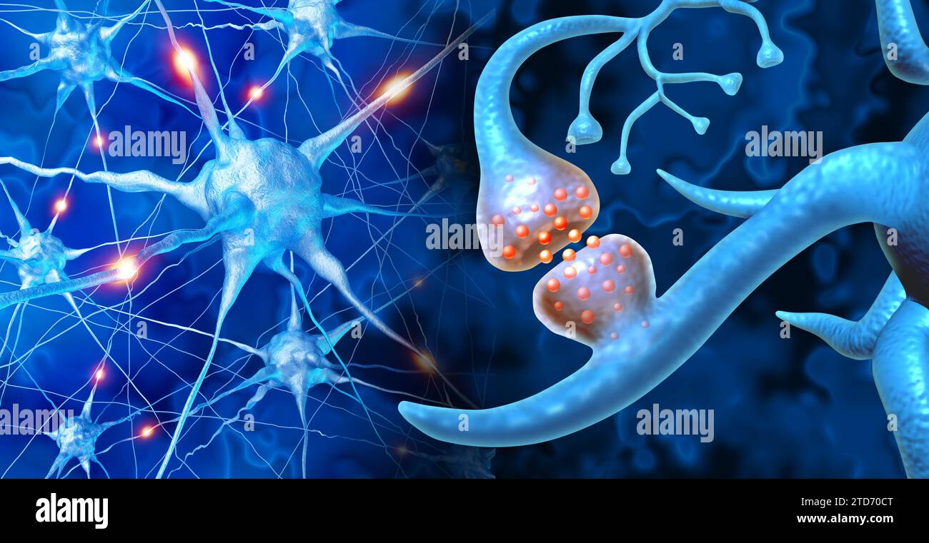 Synapse Brain Neurology Human Brain Neurology e terminazioni del nervo cognitivo come simbolo medico anatomico dei neuroni che sprigionano e delle sinapsi neurologiche Foto Stock