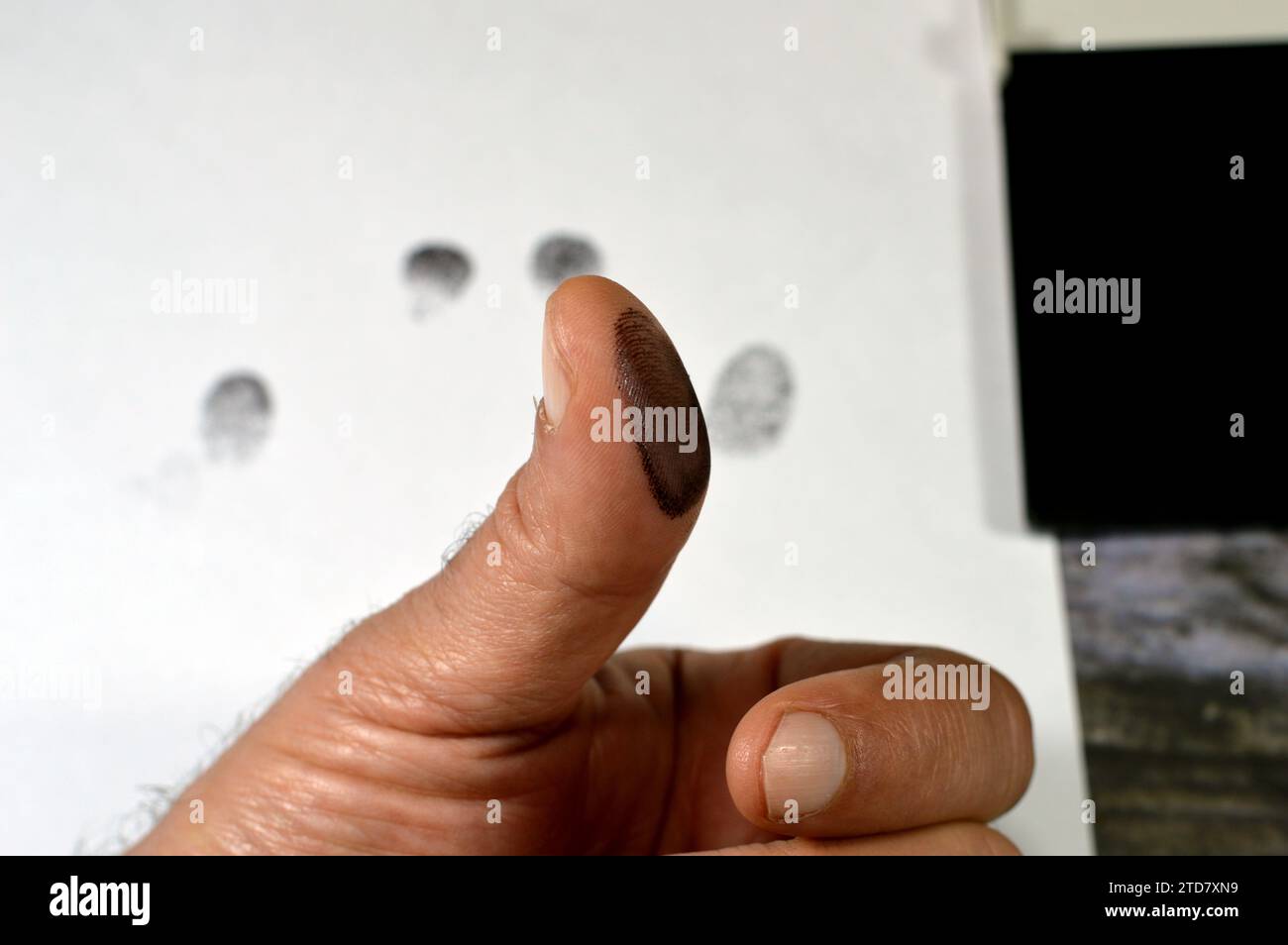Un'impronta digitale e un tampone di inchiostro nero per timbro, l'impronta digitale è un'impressione lasciata dalle creste di attrito di un dito umano, recupero di una finge parziale Foto Stock