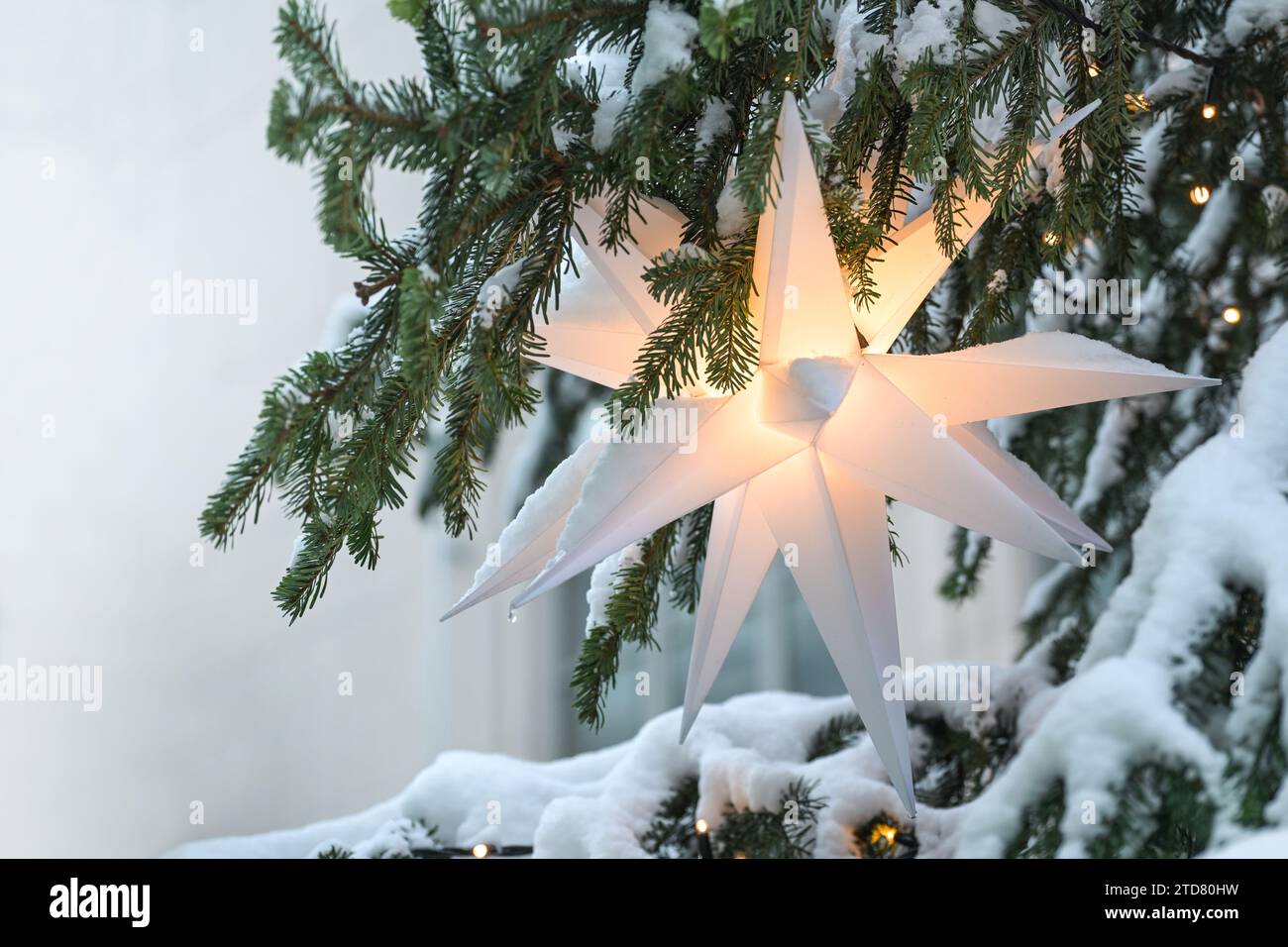 Stella morava bianca illuminata (Herrnhuter Stern tedesca) appesa su un abete di Natale ricoperto di neve come decorazione natalizia, spazio fotocopie, sele Foto Stock