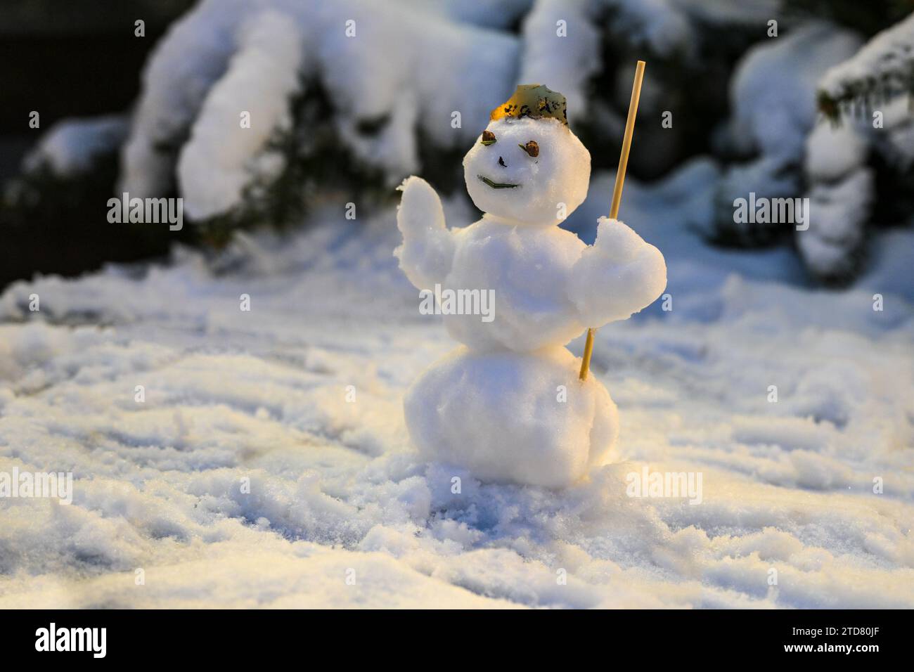 Piccolo pupazzo di neve di fronte agli abeti innevati, divertimento invernale e biglietto d'auguri per vacanze come Natale o Capodanno, spazio fotocopie, selezione di foc Foto Stock