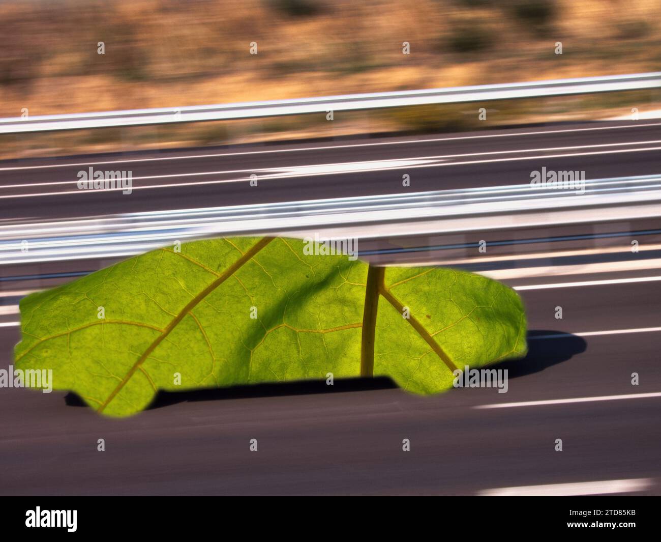 auto ecocompatibile su strada astrazione di foglie verdi in movimento all'aperto, corpo ecologico e naturale Foto Stock