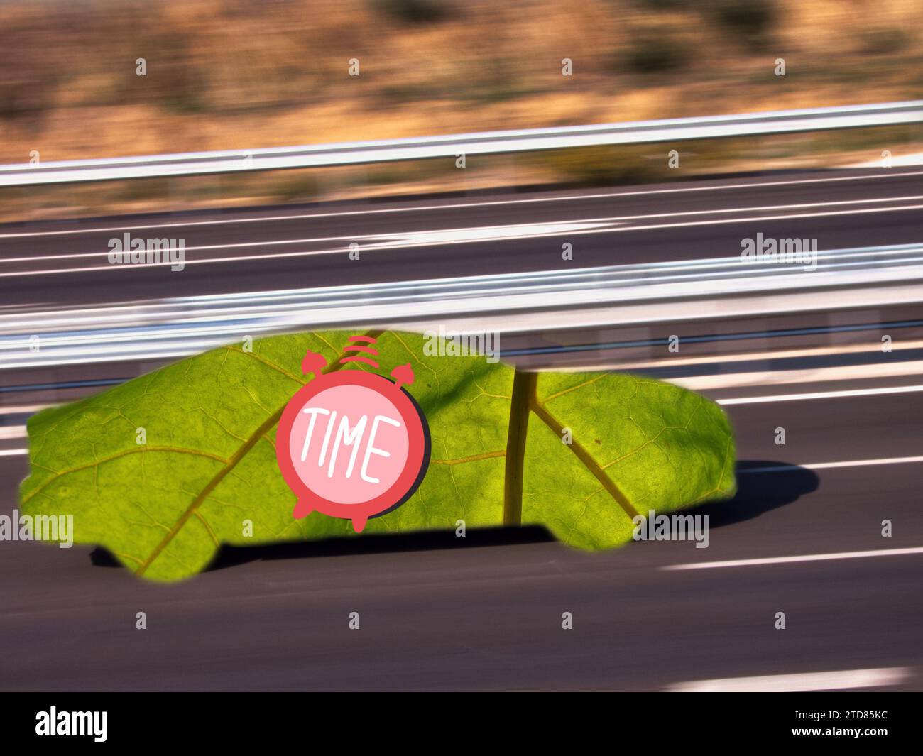 auto ecocompatibile su strada astrazione di foglie verdi in movimento all'aperto, corpo ecologico e naturale Foto Stock