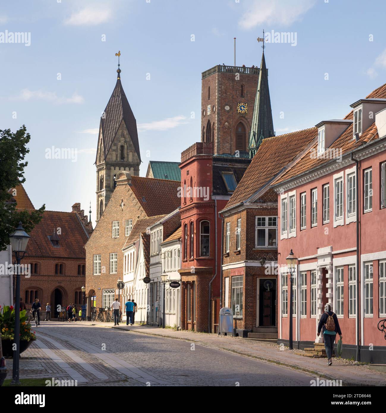 Strada con vecchie case nella città reale di Ribe, Danimarca Foto Stock
