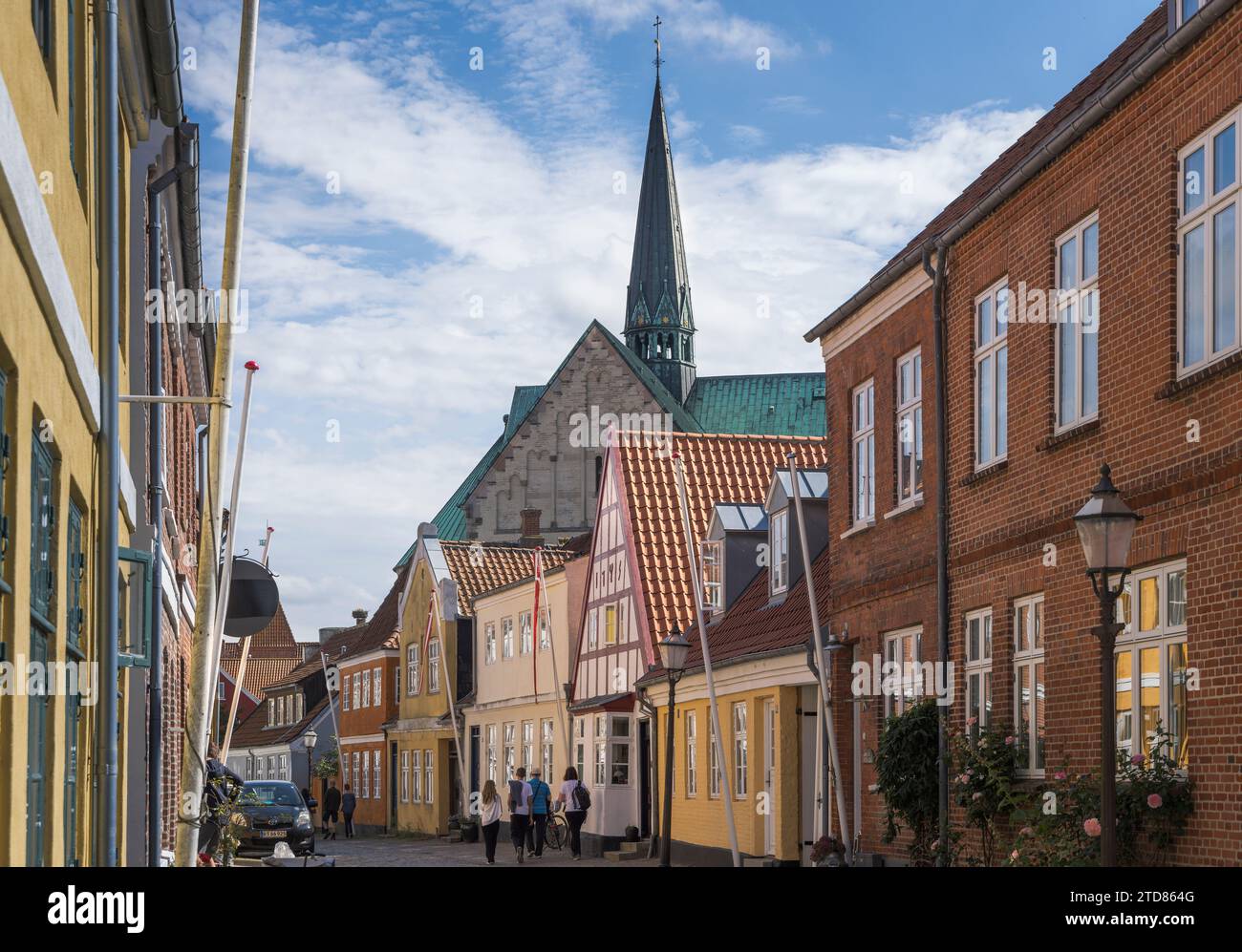 Old Street nella zona storica di Ribe, Danimarca Foto Stock