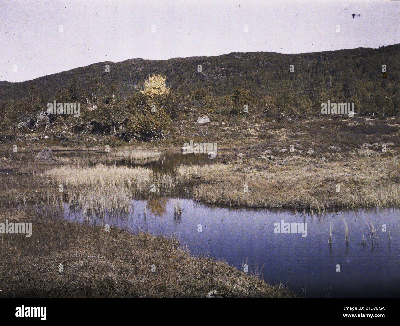 Roldal, Norvegia le rive del lago Votna?, natura, ambiente, paesaggio, foresta, legno, lago, stagno, idrografia, da Kaukéli a Briedfond (Roldal), Roldal, 09/09/1910 - 09/09/1910, Léon, Auguste, fotografo, 1910 - viaggio di Albert Kahn e Auguste Léon in Scandinavia - (9 agosto-14 settembre), Autochrome, Photo, Glass, Autochrome, foto, positivo, orizzontale, dimensioni 9 x 12 cm Foto Stock