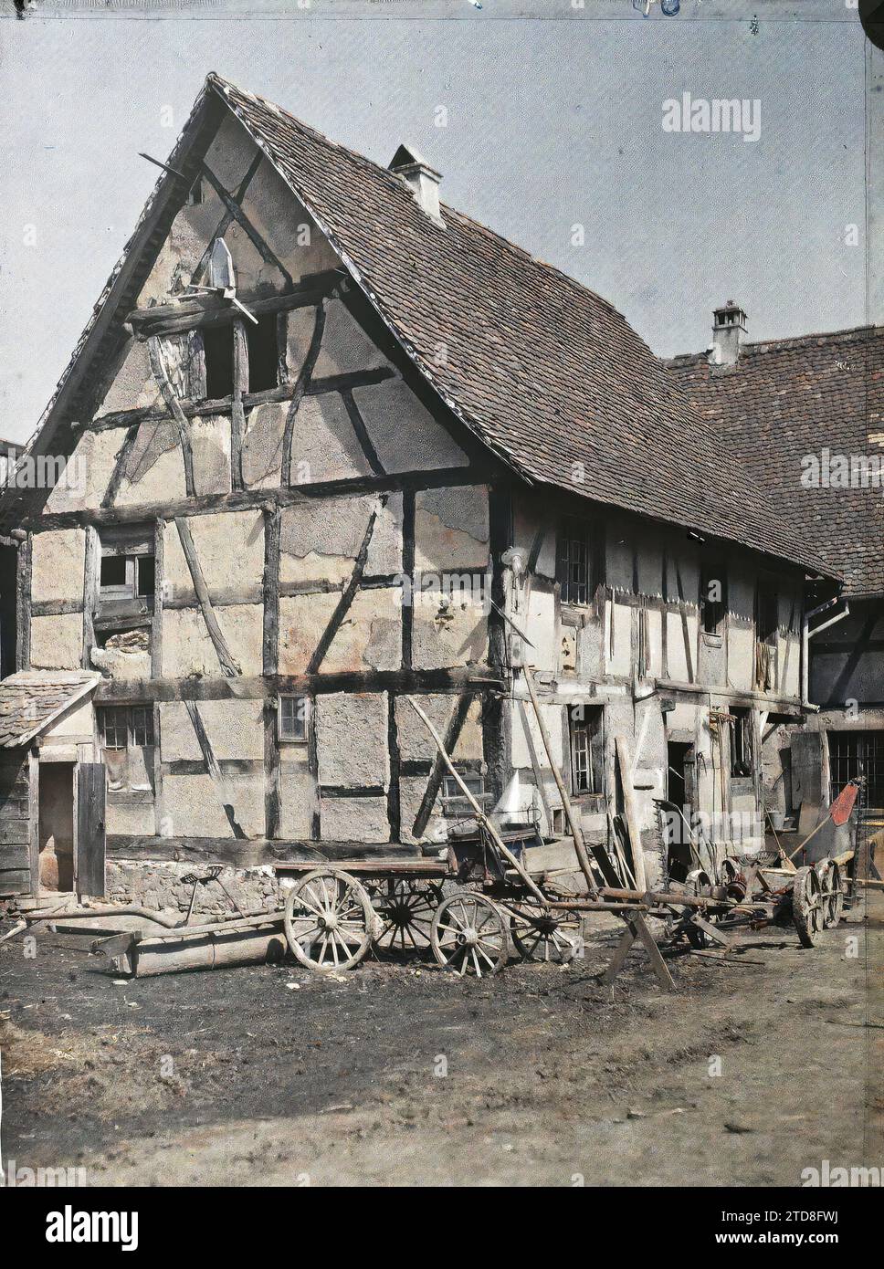 Dannemarie, Haut-Rhin, Alsazia, Francia angolo fattoria, Daily Life, prima guerra mondiale, Farm, Rural Life, Front, Francia, Dannemarie, angolo fattoria, Dannemarie, 15/06/1917 - 15/06/1917, Castelnau, Paul, 1917 - Alsazia - Paul Castelnau (sezione fotografica dell'esercito) - (giugno), Autochrome, Photo, Glass, Autochrome, foto, positivo, verticale, dimensioni 9 x 12 cm Foto Stock