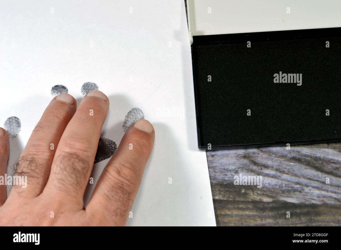 Un'impronta digitale e un tampone di inchiostro nero per timbro, l'impronta digitale è un'impressione lasciata dalle creste di attrito di un dito umano, recupero di una finge parziale Foto Stock