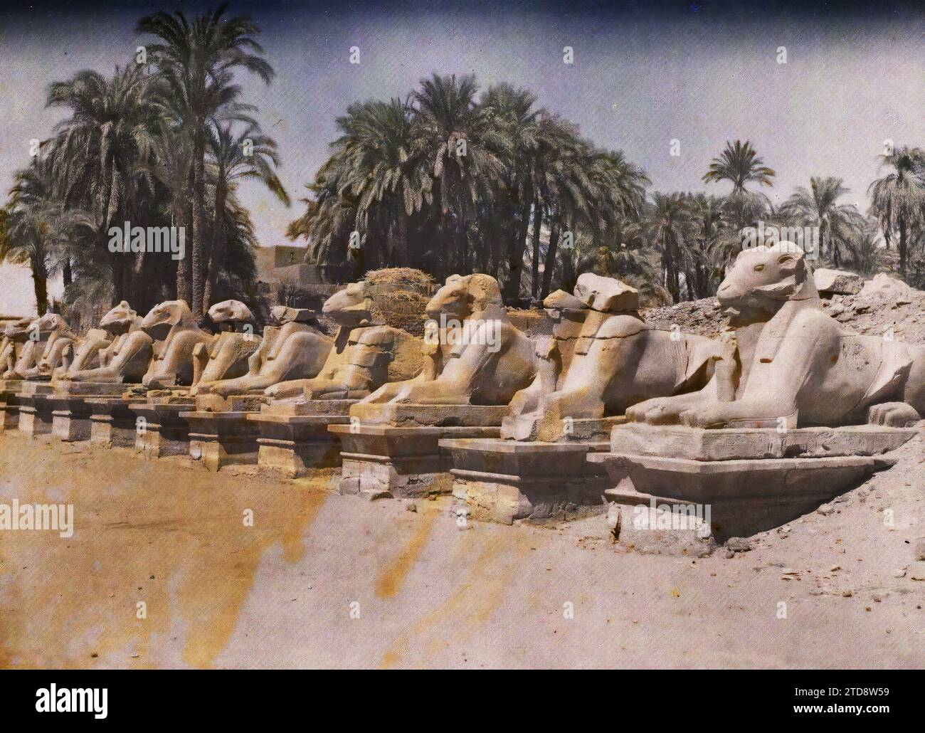 Karnak, Egitto, Africa Alley di arieti che conduce al tempio di Amon, animali, Habitat, architettura, arte, religione, Statua, Tempio, animale rappresentato, animale fantastico, resti archeologici, Sfinge, Scultura, politeismo egiziano, Egitto, Karnak, Au background grande sala ipostila, Karnak, 03/10/1918 - 03/10/1918, Castelnau, Paolo, 1918 - Medio Oriente, Egitto, Palestina, Chypre - Paul Castelnau (sezione fotografica dell'esercito) - (9 gennaio-6 ottobre), Autochrome, Photo, Glass, Autochrome, foto, positivo, orizzontale, dimensioni 9 x 12 cm Foto Stock