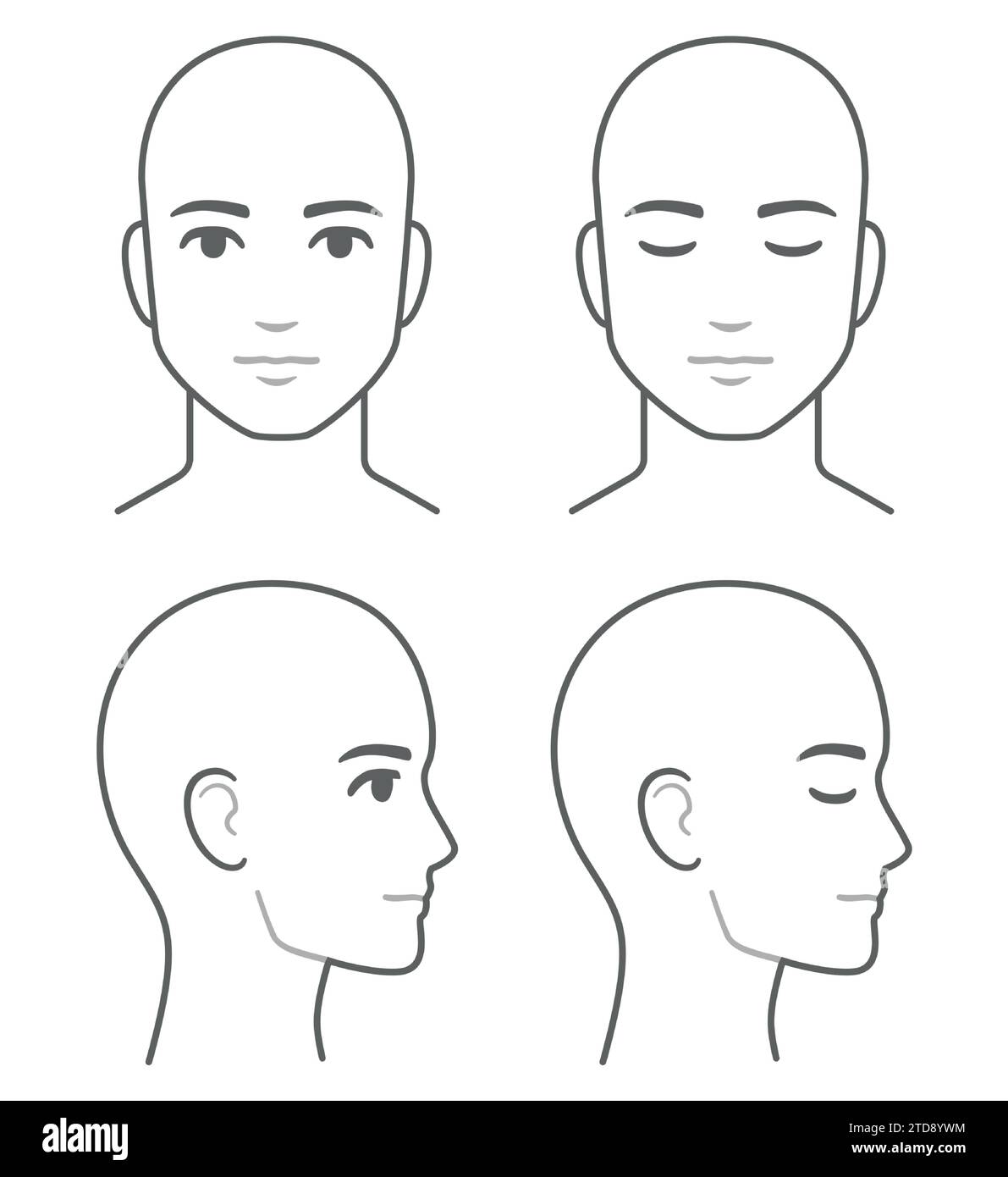 Diagramma del profilo del viso e della testa dell'uomo (senza capelli), occhi aperti e chiusi. Modello testa maschio vuota per infografica medica. Illustrazione vettoriale isolata Illustrazione Vettoriale