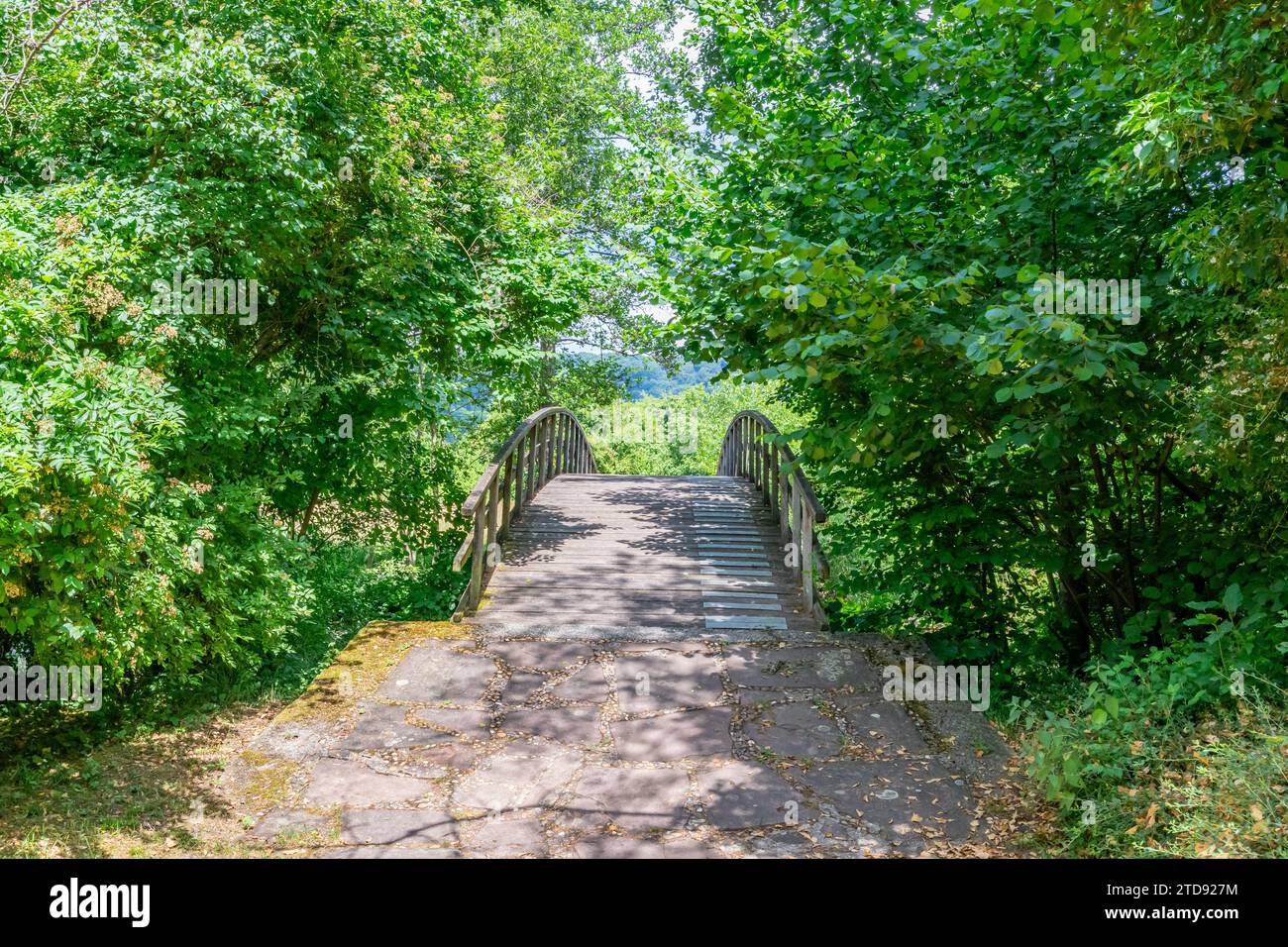 Sentiero in pietra che conduce ad un ponte ad arco in legno tra fogliame di alberi verdi, sfondo nebbioso, soleggiata giornata primaverile nella riserva naturale di Echternach, Lux Foto Stock
