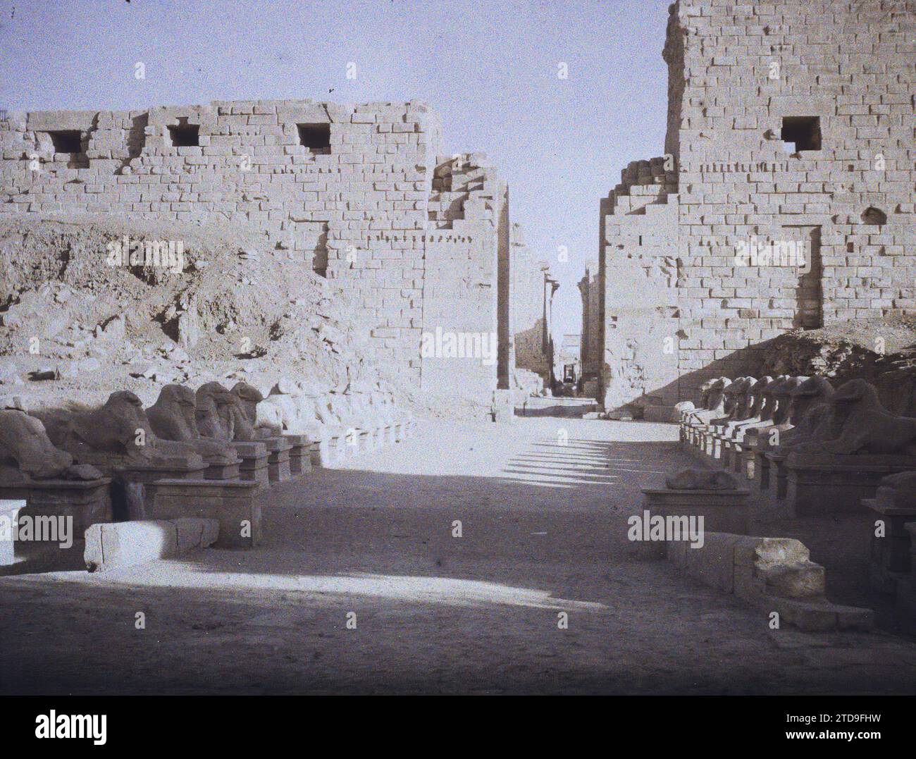 Karnak, Egitto, Africa Ovest ingresso al tempio di Amun-Ra, animali, Habitat, architettura, Arte, religione, Statua, Tempio, animale rappresentato, animale fantastico, resti archeologici, Sfinge, Scultura, politeismo egiziano, Egitto, Karnak, Alley of Rams, Karnak, 11/01/1914 - 11/01/1914, Léon, Auguste, fotografo, 1914 - Egypte - Auguste Léon - (gennaio-febbraio), Autochrome, Photo, Glass, Autochrome, foto, positivo, orizzontale, dimensioni 9 x 12 cm Foto Stock