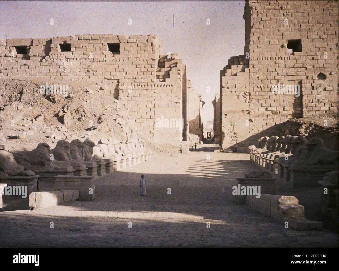 Karnak, Egitto, Africa Ovest ingresso al tempio di Amun-Ra, animali, Habitat, architettura, Arte, esseri umani, religione, Statua, Tempio, animale rappresentato, animali fantastici, resti archeologici, Sfinge, Scultura, bambini, politeismo egiziano, Egitto, Karnak, Alley of Rams, Karnak, 11/01/1914 - 11/01/1914, Léon, Auguste, fotografo, 1914 - egittano - Auguste Léon - (gennaio-febbraio), Autochrome, Photo, Glass, Autochrome, foto, positivo, orizzontale, dimensioni 9 x 12 cm Foto Stock