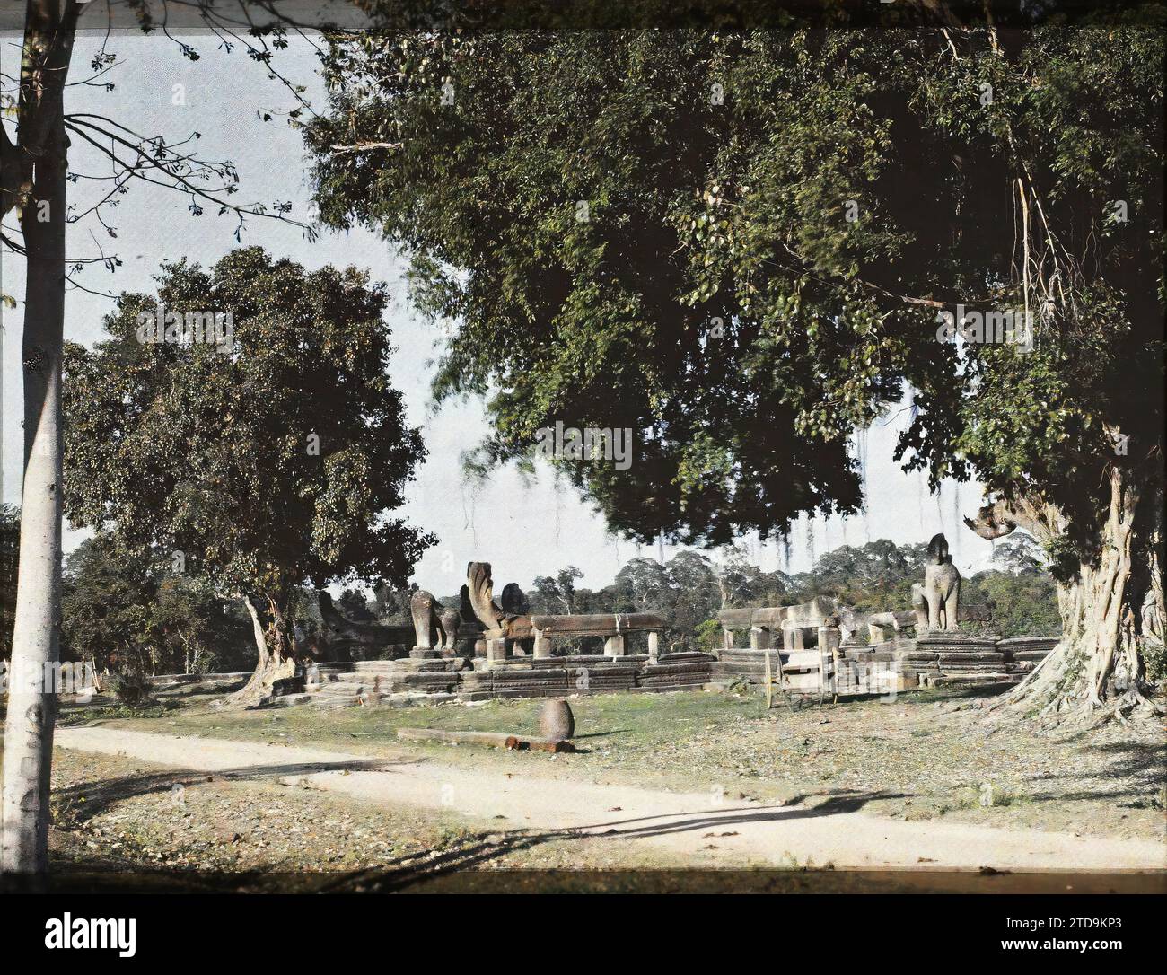 Angkor, Cambogia, Indocina frammenti di sculture (nâga-balustrades e leoni echiffre), religione, animale, Arte, Habitat, architettura, Statua, Buddismo, animale Sacro, Tempio, animale rappresentato, animale fantastico, induismo, serpente, Scultura, leone, decorazione scolpita, architettura religiosa, Cambogia, Angkor-Wat, portico di accesso, Angkor VAT, 01/01/1921 - 31/12/1921, Busy, Léon, fotografo Léon occupato en Indochine, Autochrome, foto, vetro, Autochrome, foto, positivo, orizzontale, dimensioni 9 x 12 cm Foto Stock