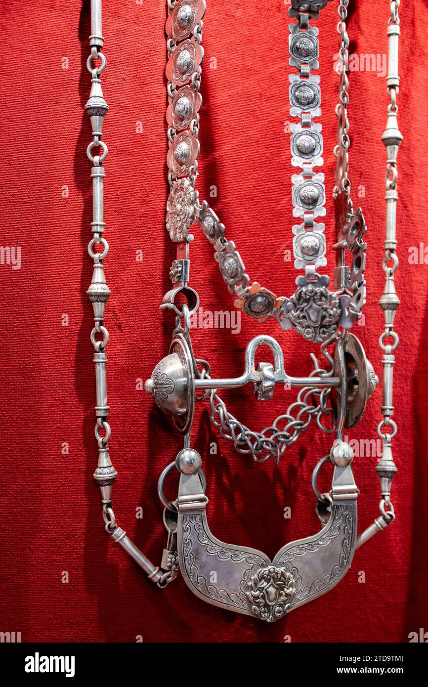 Argentina, San Antonio de Areco, Museo storico Draghi (Gaucho e museo dell'argento), tradizionale cavallino in argento decorato a mano. Foto Stock