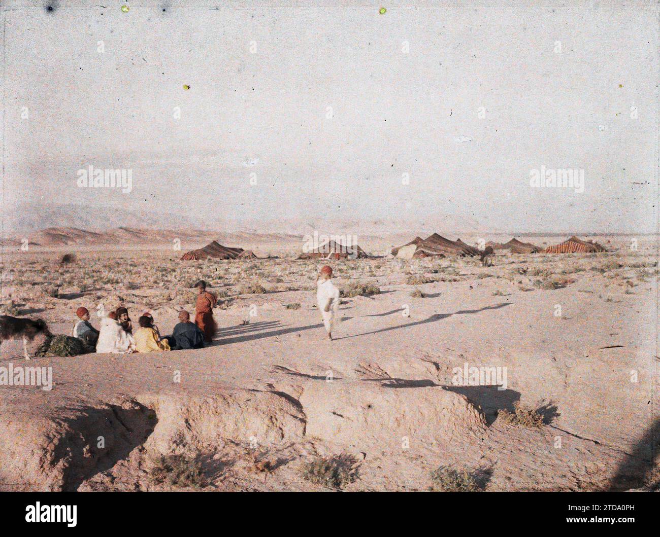 Dintorni di Biskra, Algeria bambini vicino a un campo nomade, natura, ambiente, esseri umani, Habitat, architettura, paesaggio, Nomad, deserto, tenda, Child, Camp, Dwelling, Briska, Montagne RASE, Biskra, 01/01/1911 - 31/12/1911, 01/01/1910 - 31/12/1910, 01/01/1909 - 31/12/1909, Gervais-Courtellemont, Jules, 1909 ou 1910 - Algérie, Tunisie - Jules Gervais-Courtellemont et Souvieux, Autochrome, Photo, Glass, Autochrome, foto, orizzontale, dimensioni 9 x 12 cm Foto Stock