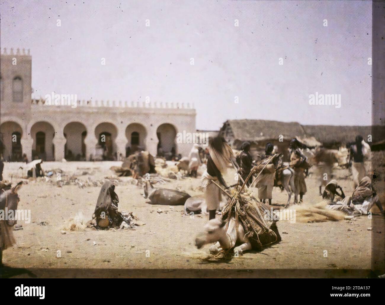 Gibuti mercato del legno, esseri umani, animali, abbigliamento, attività economica, storia coloniale, Habitat, architettura, donna, vero animale, costume, mercato, fiera, presenza coloniale, architettura civile pubblica, architettura commerciale, asino, uomo, Africa francese, Gibuti, veduta del mercato del legno, Gibuti, 22/07/1914 - 22/07/1914, Busy, Léon, fotografo Léon occupato en Indochine, Autochrome, foto, vetro, Autochrome, foto, positivo, orizzontale, dimensioni 9 x 12 cm Foto Stock