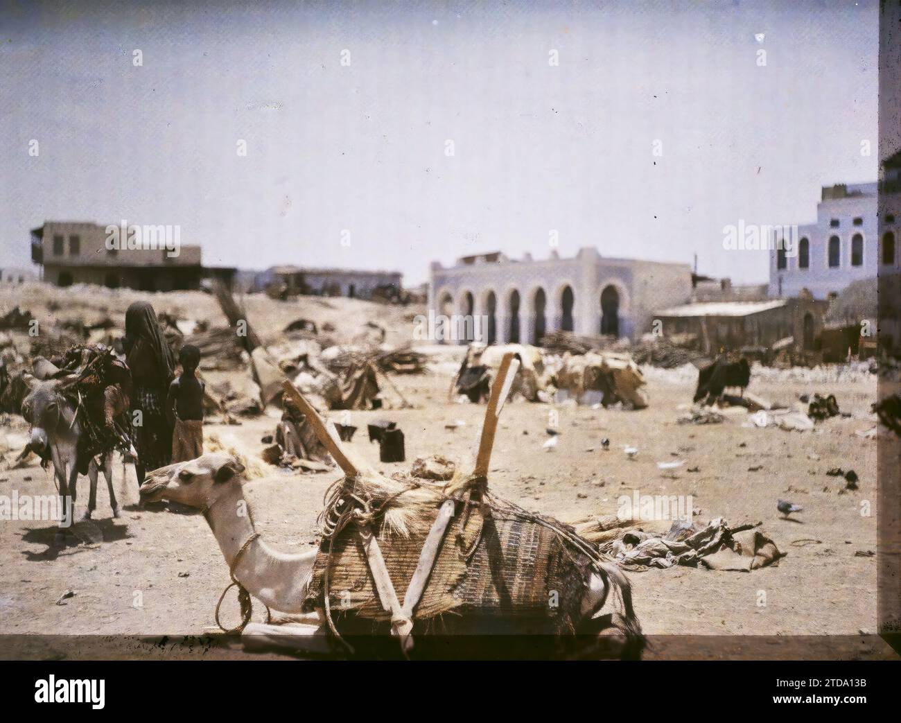 Gibuti mercato del legno, animali, abbigliamento, attività economica, storia coloniale, esseri umani, Habitat, architettura, vero animale, Costume, cammello, mercato, fiera, presenza coloniale, bambino, Public Civil Architecture, Donkey, Africa francese, Gibuti, veduta del mercato del legno, Gibuti, 22/07/1914 - 22/07/1914, Busy, Léon, fotografo Léon occupato en Indochine, Autochrome, foto, vetro, Autochrome, foto, positivo, orizzontale, dimensioni 9 x 12 cm Foto Stock