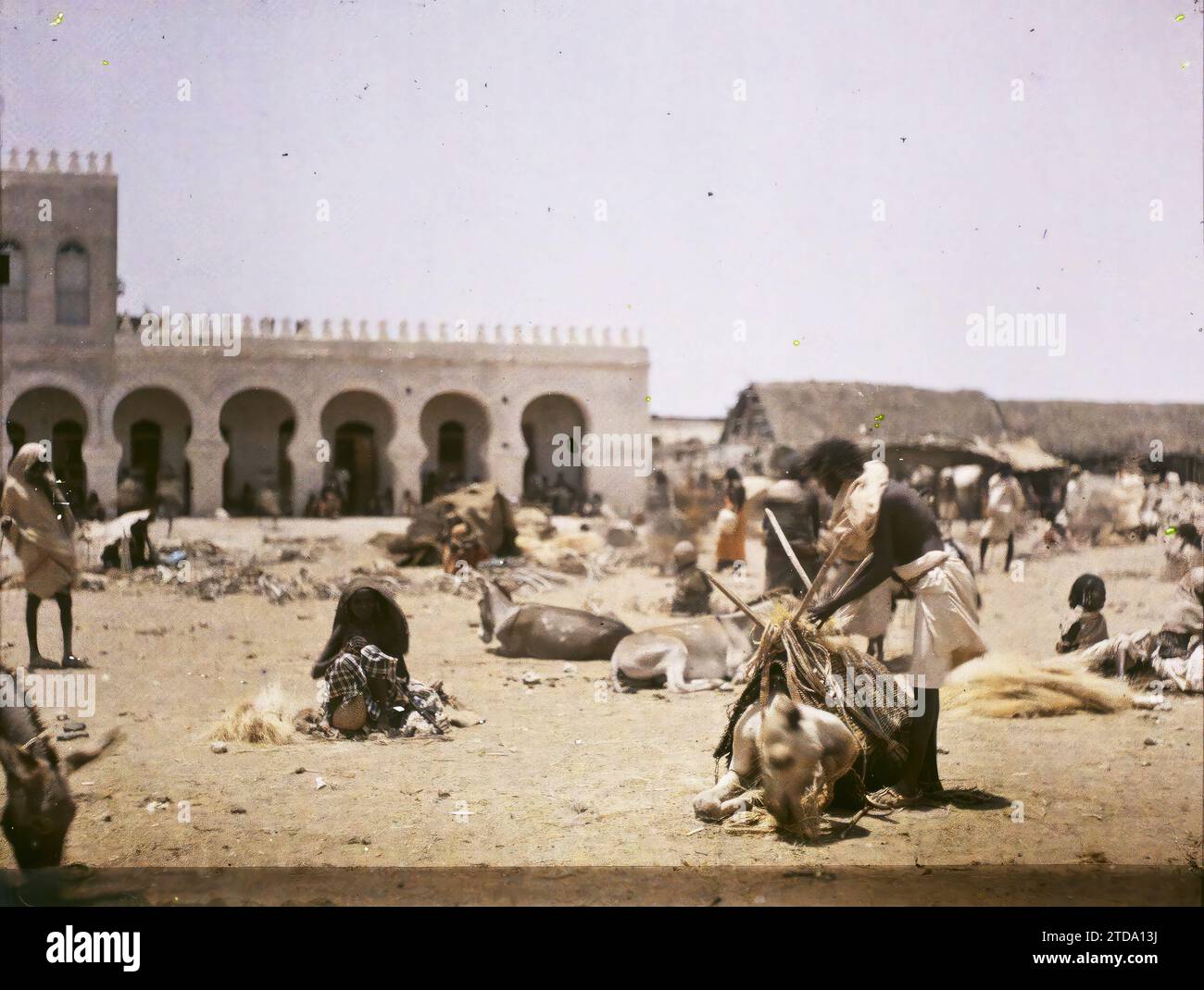 Gibuti mercato del legno, esseri umani, animali, abbigliamento, attività economica, storia coloniale, Habitat, architettura, donna, vero animale, costume, cammello, mercato, fiera, presenza coloniale, architettura civile pubblica, architettura commerciale, asino, uomo, Africa francese, Djibouti, veduta del mercato del legno, Gibuti, 22/07/1914 - 22/07/1914, Busy, Léon, fotografo Léon occupato en Indochine, Autochrome, foto, vetro, Autochrome, foto, positivo, orizzontale, dimensioni 9 x 12 cm Foto Stock