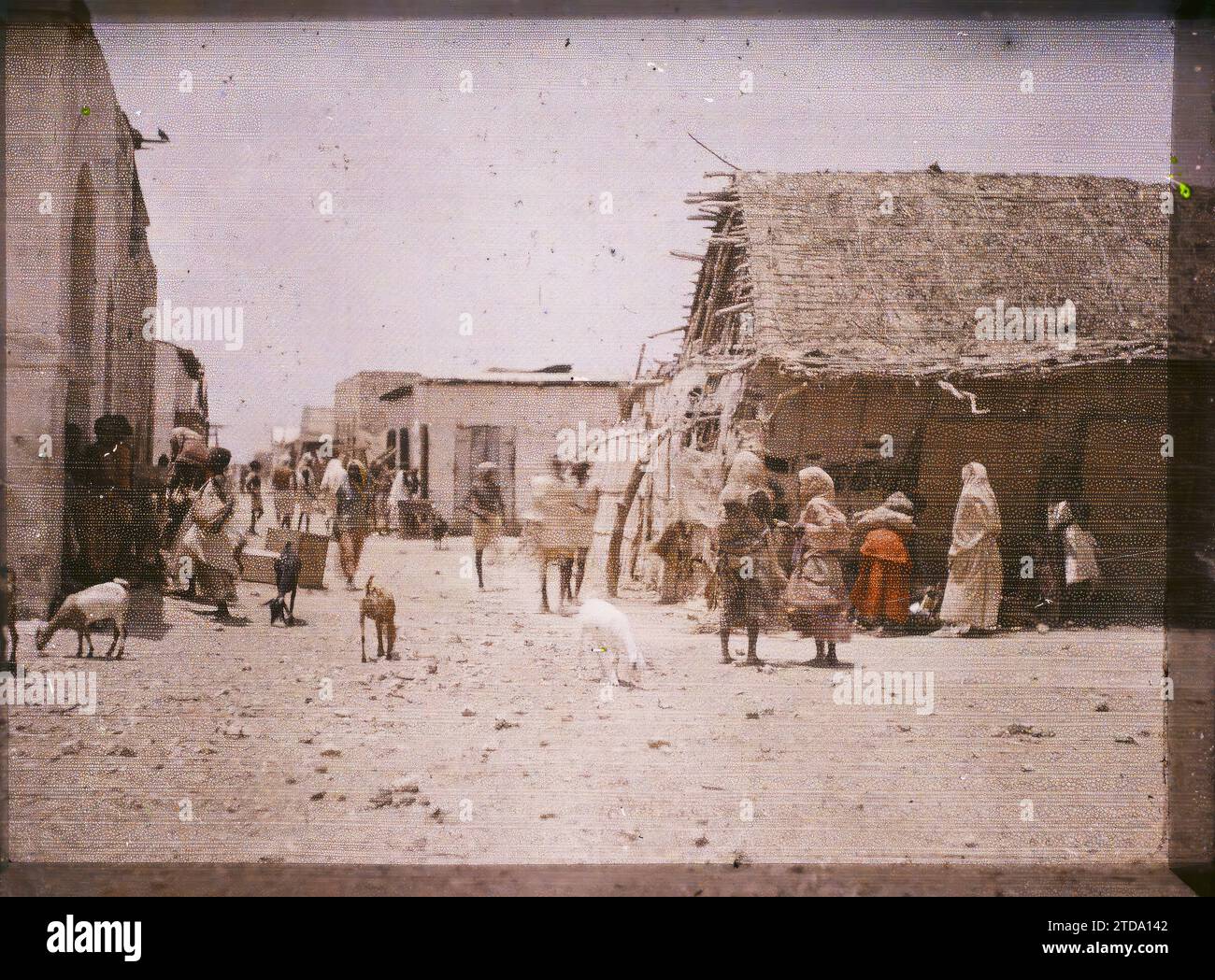 Djibouti Street della "città indigena", esseri umani, animali, abbigliamento, storia coloniale, habitat, architettura, donna, vero animale, Costume, Colonial Presence, Goat, Street, Neighborhood, Man, Africa francese, Gibuti, via nel quartiere nativo, Gibuti, 22/07/1914 - 22/07/1914, Busy, Léon, fotografo Léon occupato en Indochine, Autochrome, foto, vetro, Autochrome, foto, positivo, orizzontale, dimensioni 9 x 12 cm Foto Stock