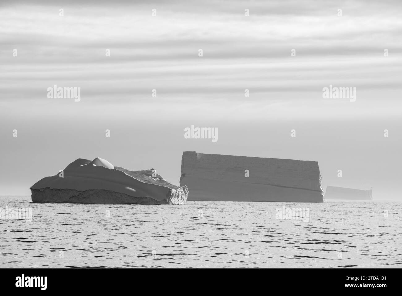 Georgia del Sud, Grytviken. Grandi iceberg vicino al porto di Grytviken. Foto Stock