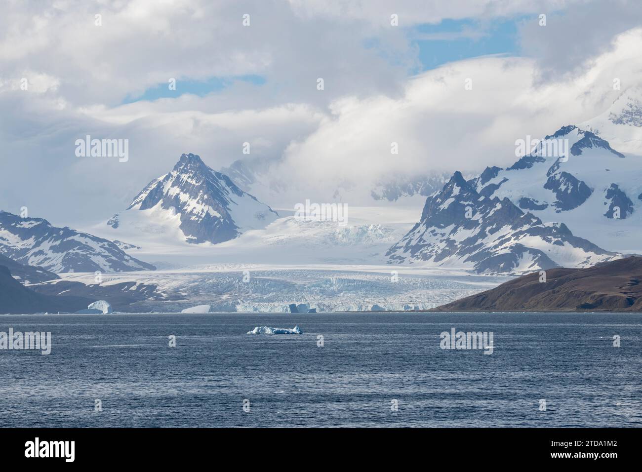 Georgia del Sud, Grytviken. Vista costiera del ghiacciaio. Foto Stock