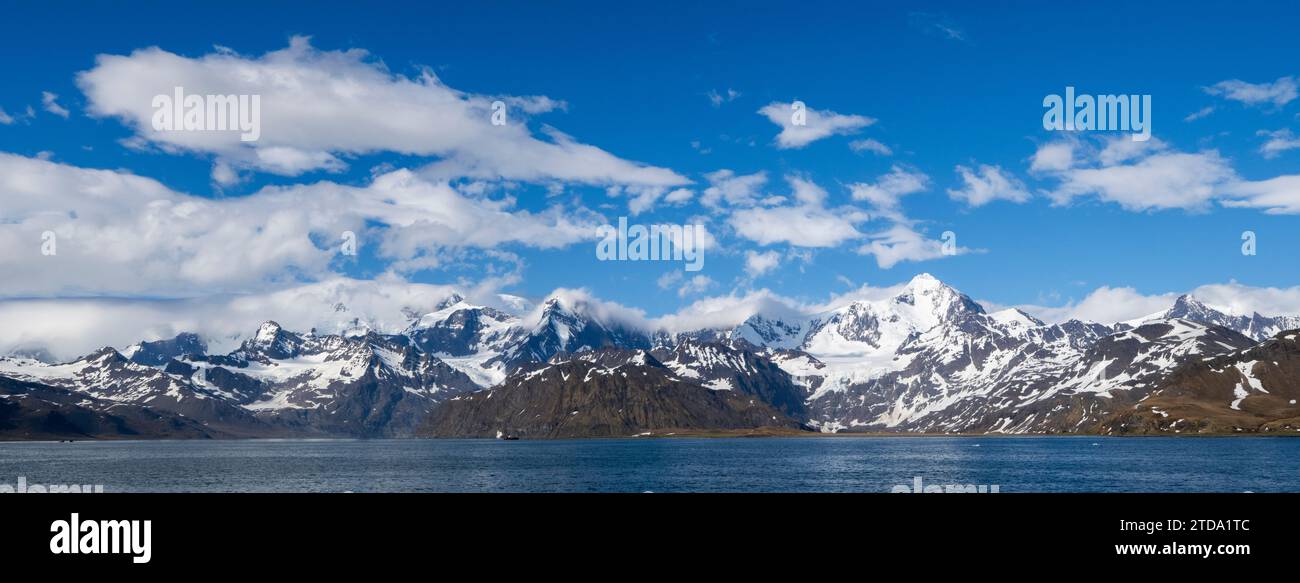 Georgia del Sud, Grytviken. Vista sulla costa di King Edward Cove. Foto Stock