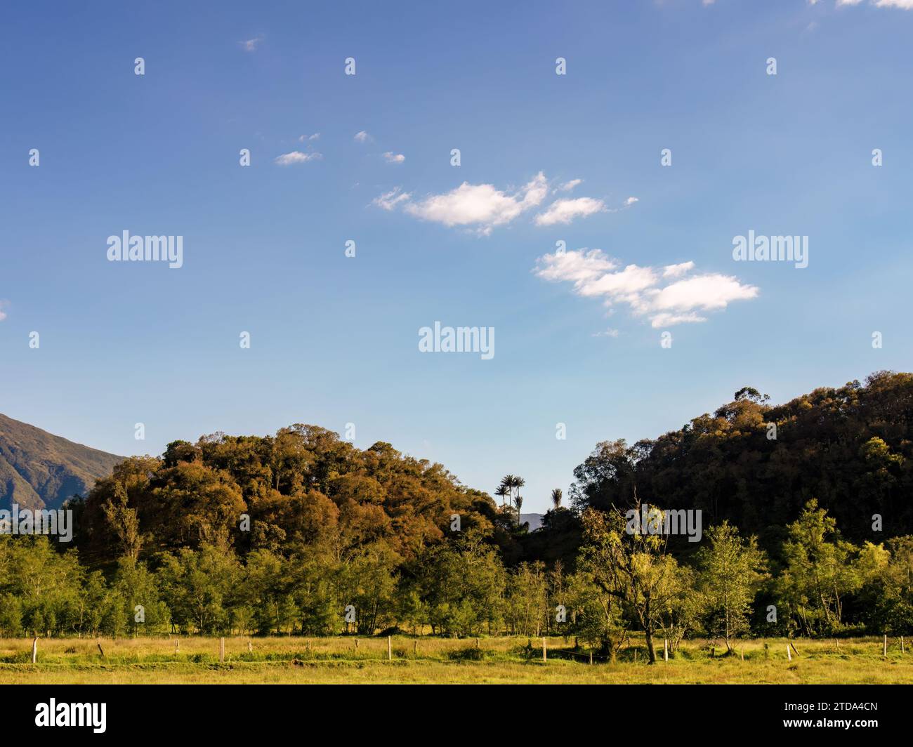 Due piccole nuvole fluttuano su due colline coperte di foresta nativa, nel tardo pomeriggio, in un terreno agricolo nelle montagne andine orientali del centro di Colom Foto Stock
