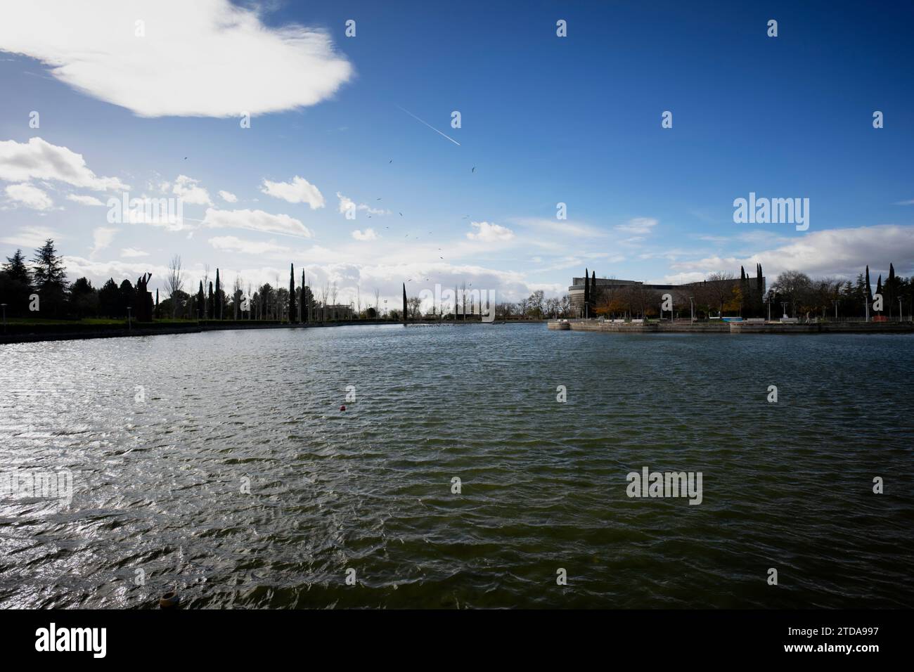 Gabbiani e cormorani in un parco, Madrid, Spagna Foto Stock