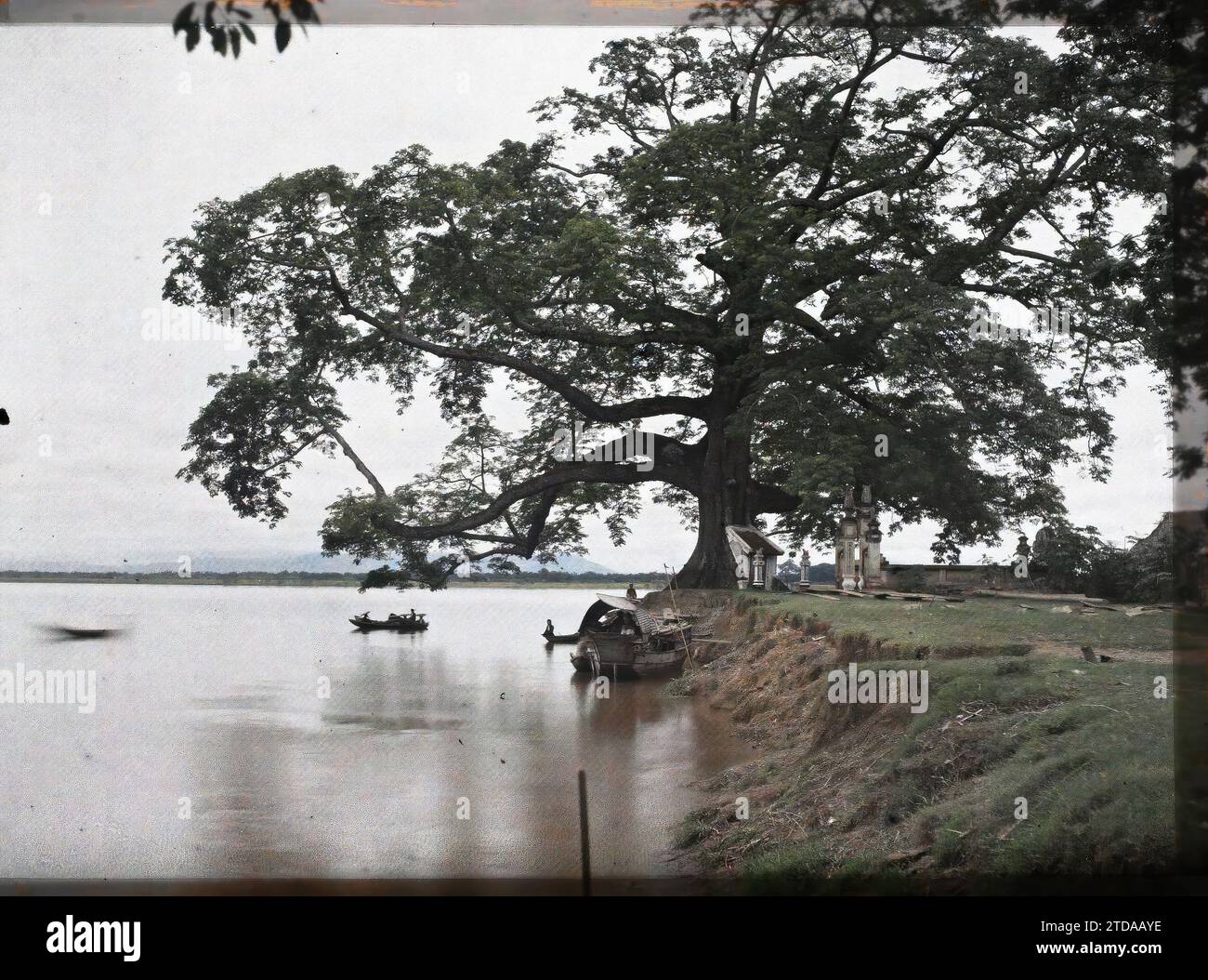 Viet-tri, Provincia di Phu-tho, Tonchino, Indocina il grande albero di Banyan (Ficus indica), vicino alla confluenza del fiume Rosso e del fiume Claire, HD, trasporti, natura, ambiente, habitat, architettura, fiume, Tempio, esiste in alta definizione, fiume, barca, altare, albero notevole, trasporto fluviale, lago, vegetazione, botanica, architettura religiosa, Indocina, Tonchino, paesaggi - da Hanoi, il grande albero di banyan di Viëtri, Fleuve rouge, Viet-tri, 01/07/1915 - 31/08/1915, occupato, Léon, fotografo Léon Busy en Indochine, Autochrome, foto, vetro, Autochrome, foto, positivo, orizzontale, formato 9 x 1 Foto Stock