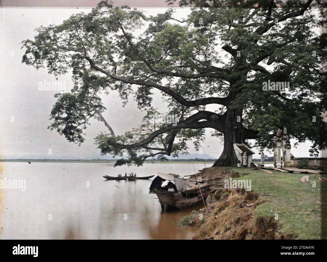 Viet-tri, Provincia di Phu-tho, Tonchino, Indocina il grande albero di Banyan (Ficus indica), vicino alla confluenza del fiume Rosso e del fiume Claire, trasporti, natura, ambiente, Habitat, architettura, fiume, Tempio, fiume, barca, altare, notevole albero, colonna, trasporto fluviale, lago, vegetazione, botanica, architettura religiosa, Indocina, Tonchino, paesaggi - da Hanoi, il grande albero banyan di Viëtri, Fleuve rouge, Viet-tri, 01/07/1915 - 31/08/1915, affollato, Léon, fotografo Léon Busy en Indochine, Autochrome, foto, vetro, Autochrome, foto, positivo, orizzontale, dimensioni 9 x 12 cm Foto Stock