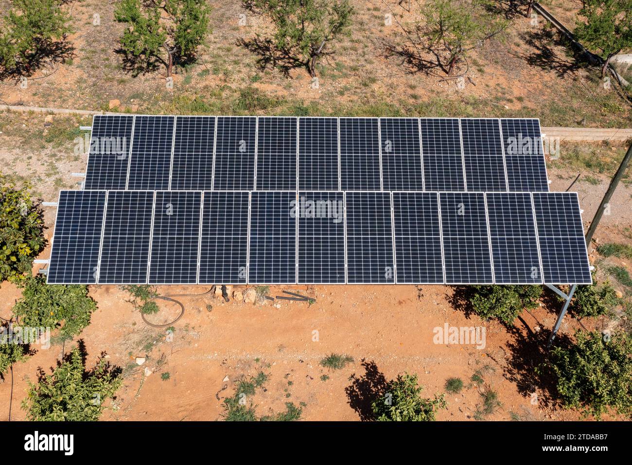 Harvesting the Power of the Sun: Pannelli solari che generano elettricità in un campo Foto Stock