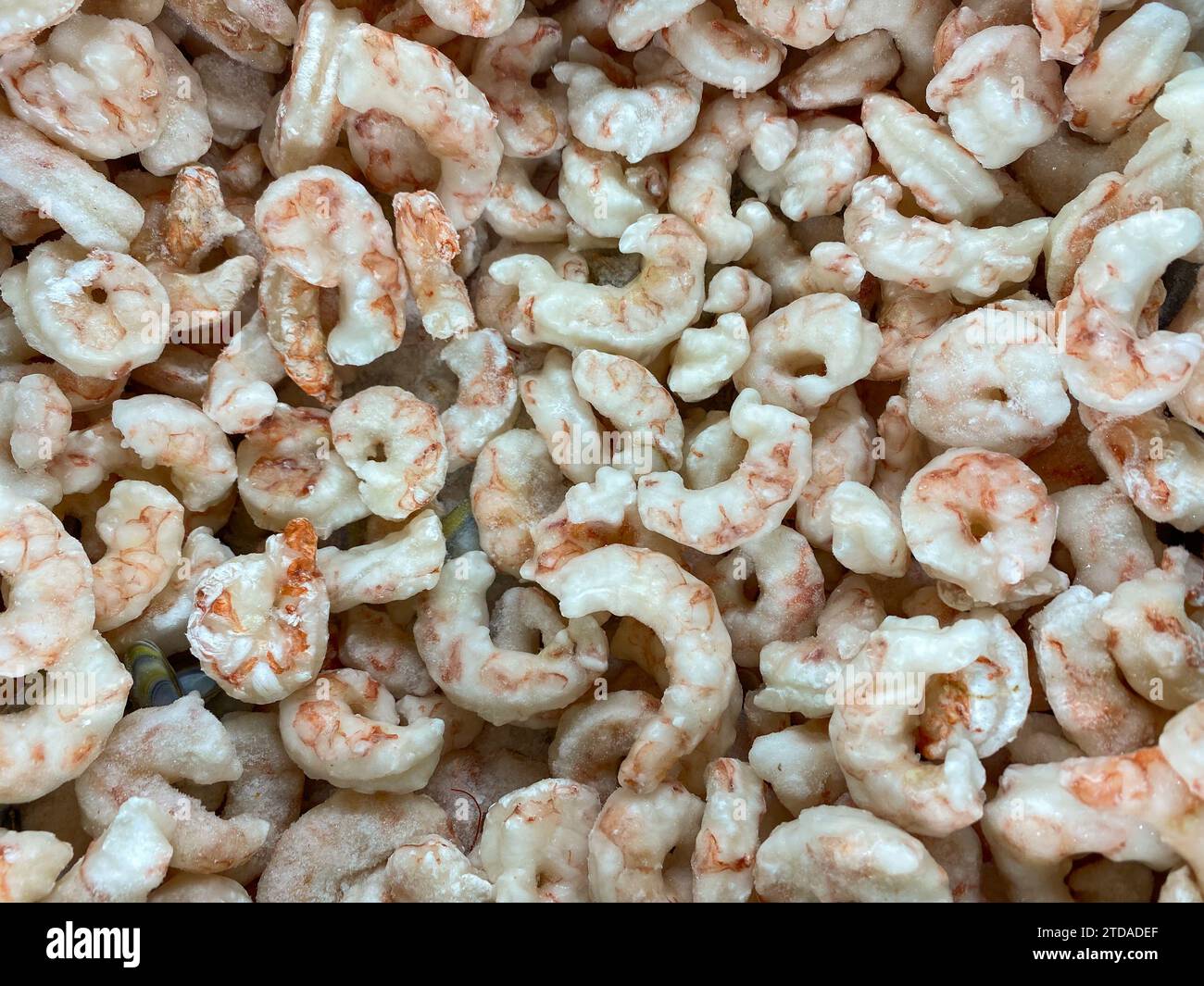 Prelibatezze fredde: Gamberi di pesce surgelati nella conservazione del congelatore congelato Foto Stock